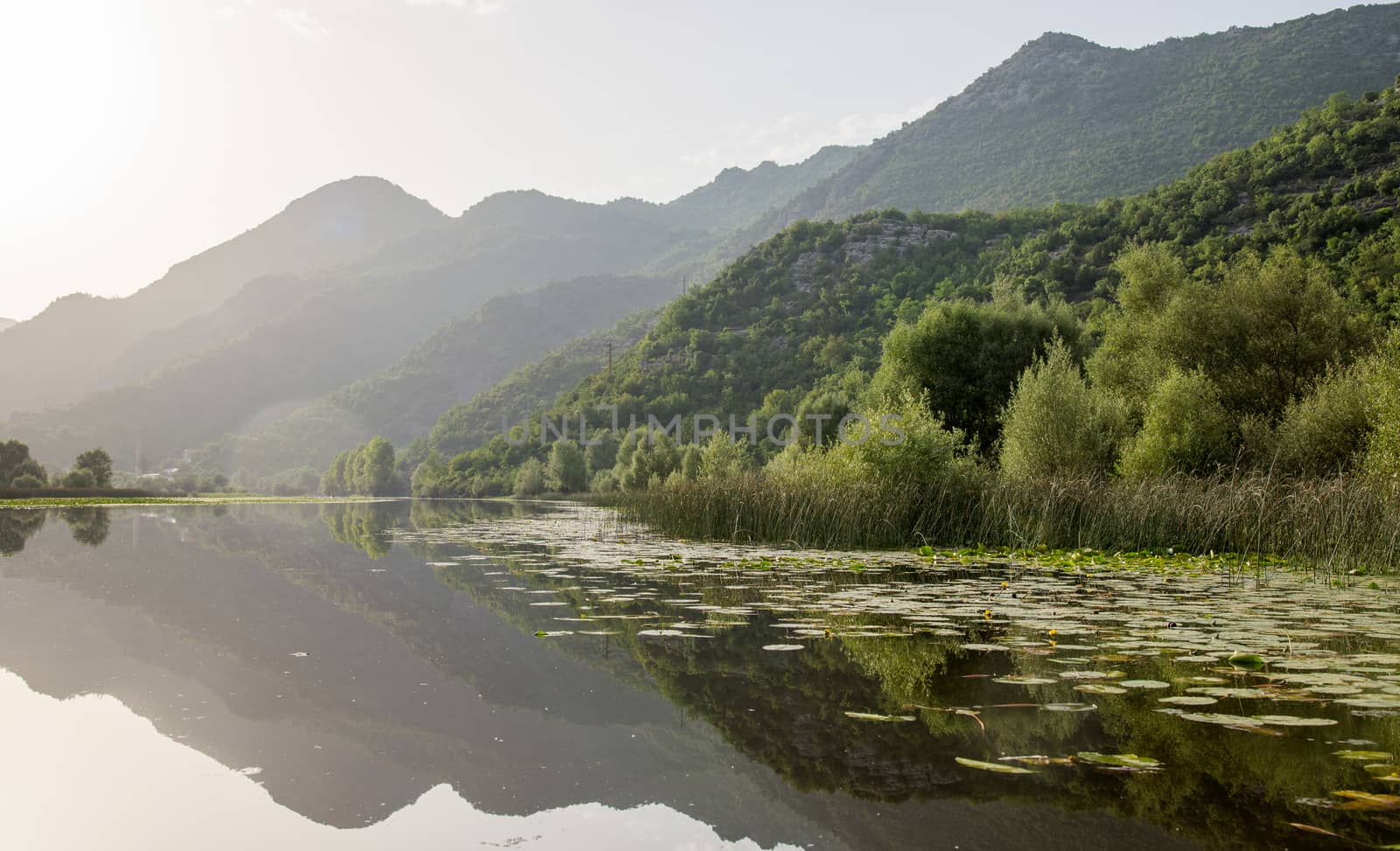 Quiet waters of Lake Skadar in Montenegro by vlaru