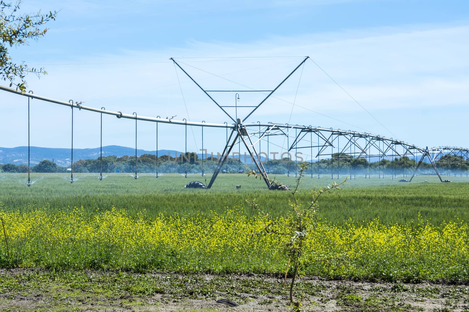 Industrial irrigation of crops