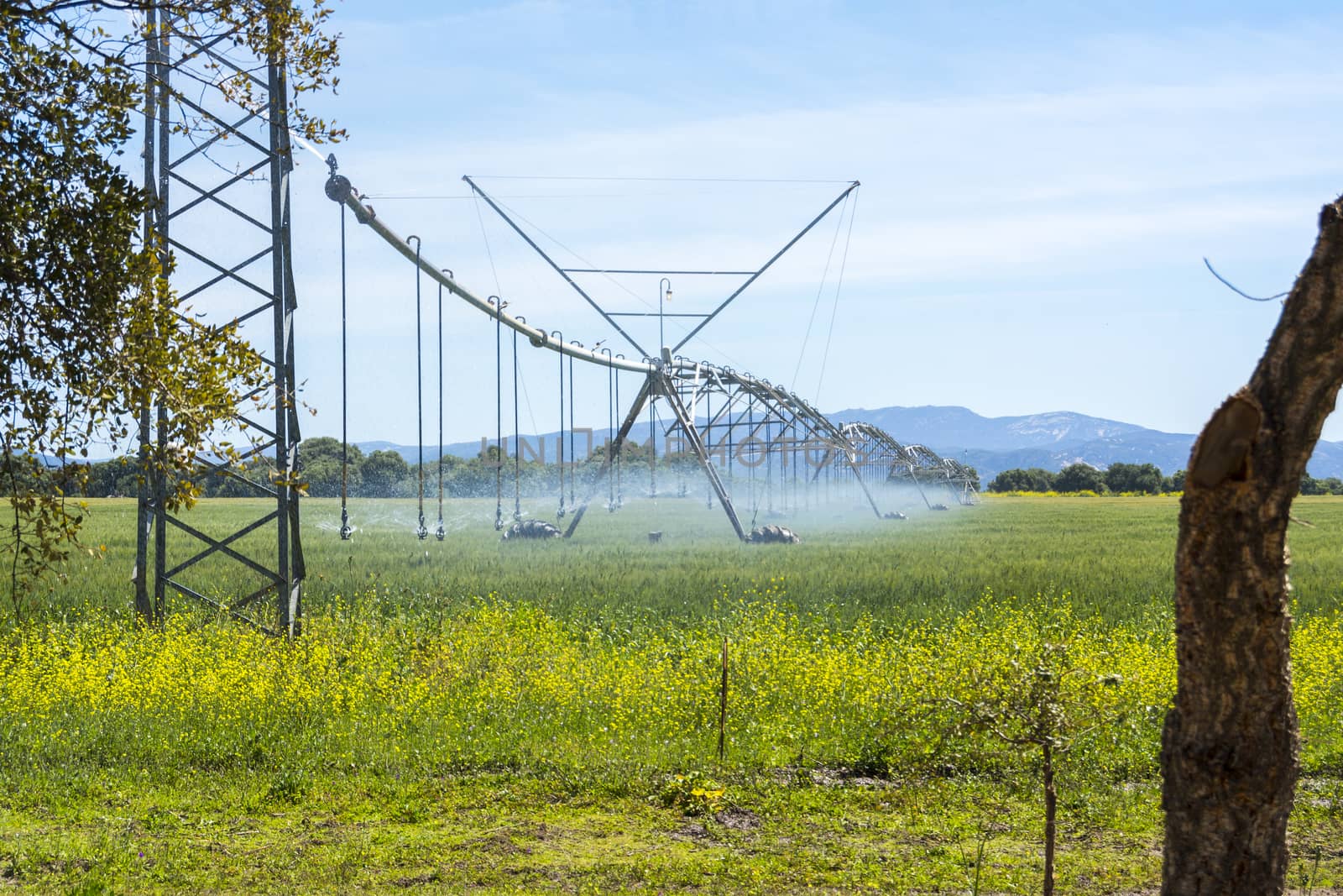 Industrial irrigation of crops