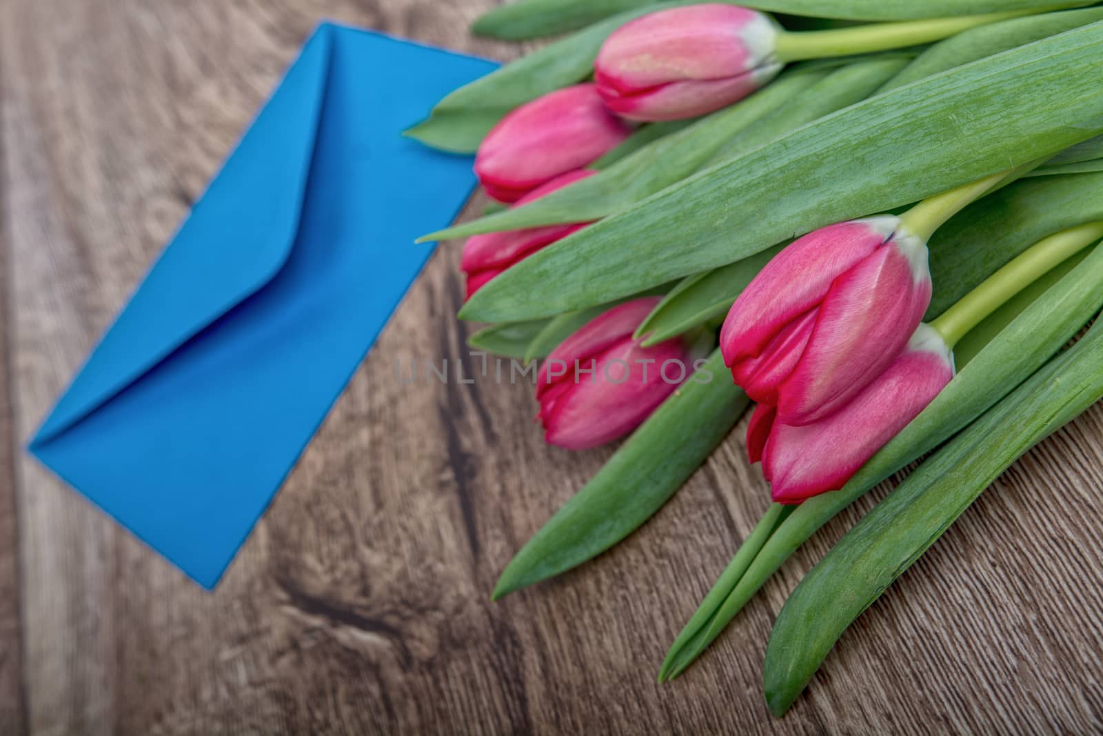 Envelope and red tulip on a wooden background