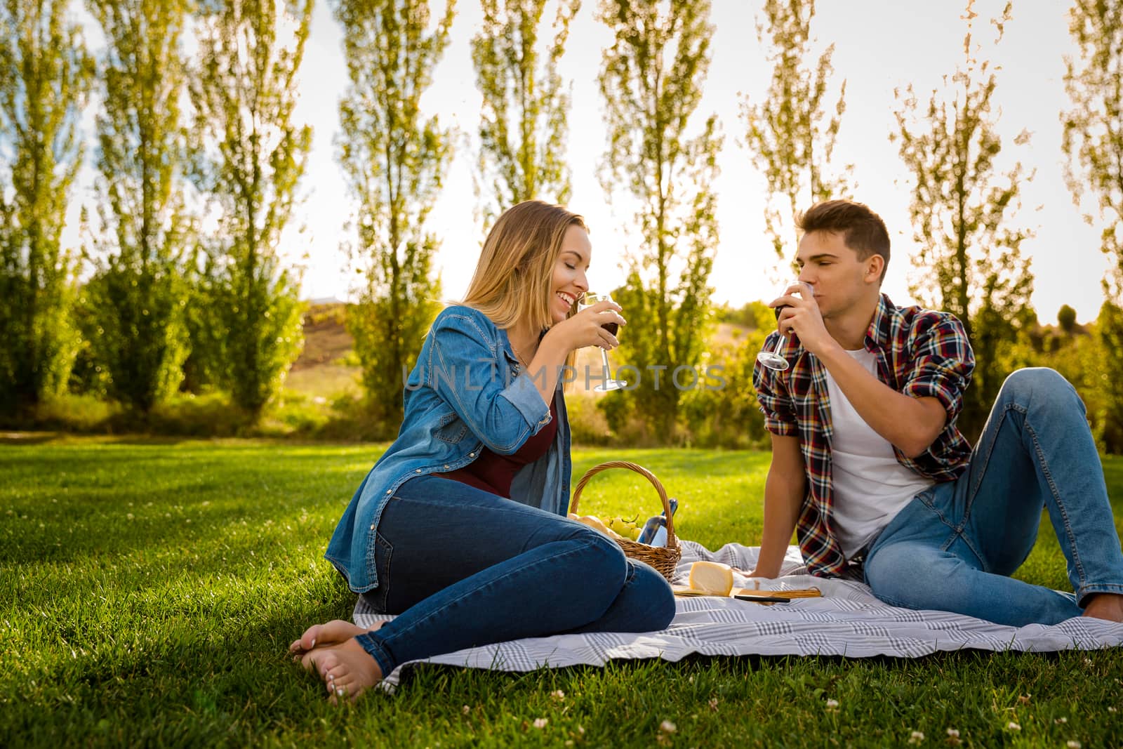 Shot of a beautiful couple on a picnic and making a toast