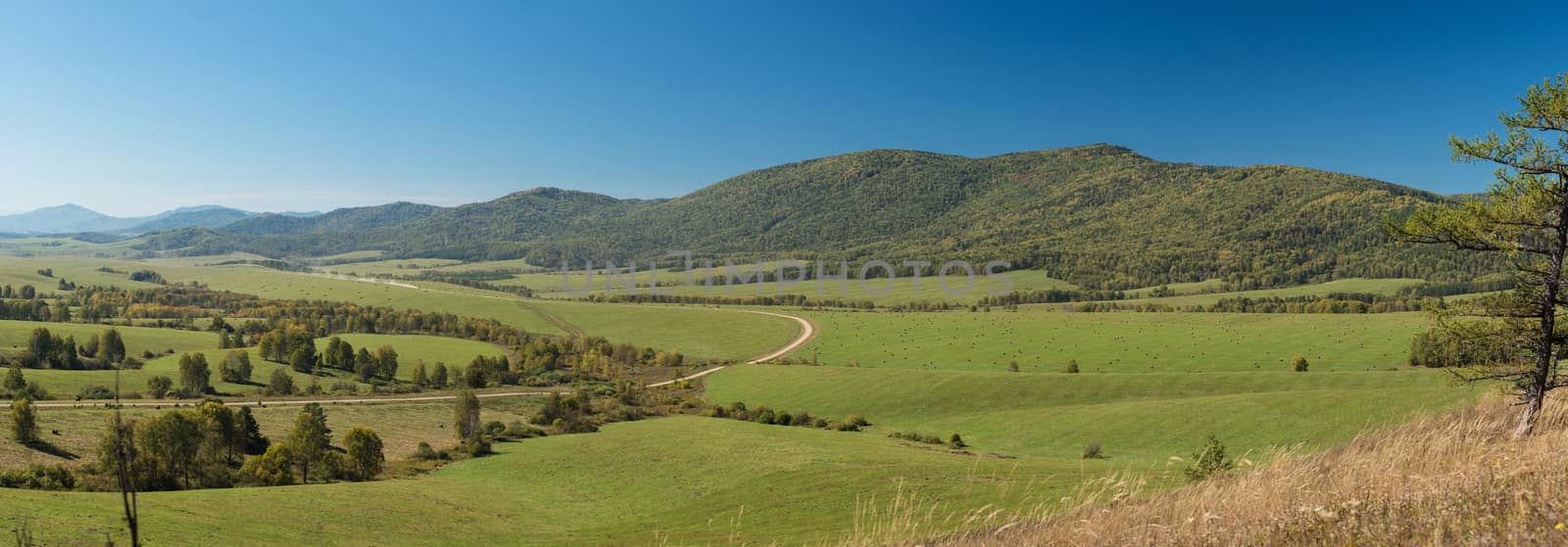 Road at the mountains, horisontal panorama