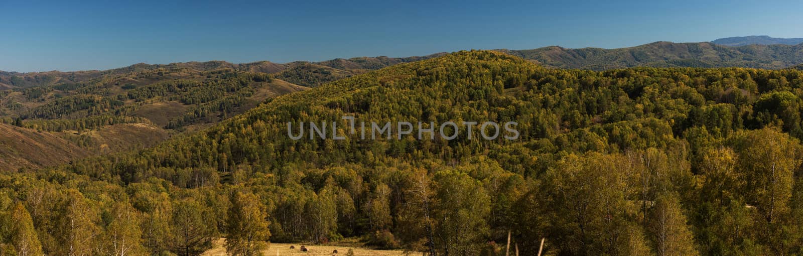 Beauty day in the mountains in Altay, panoramic picture