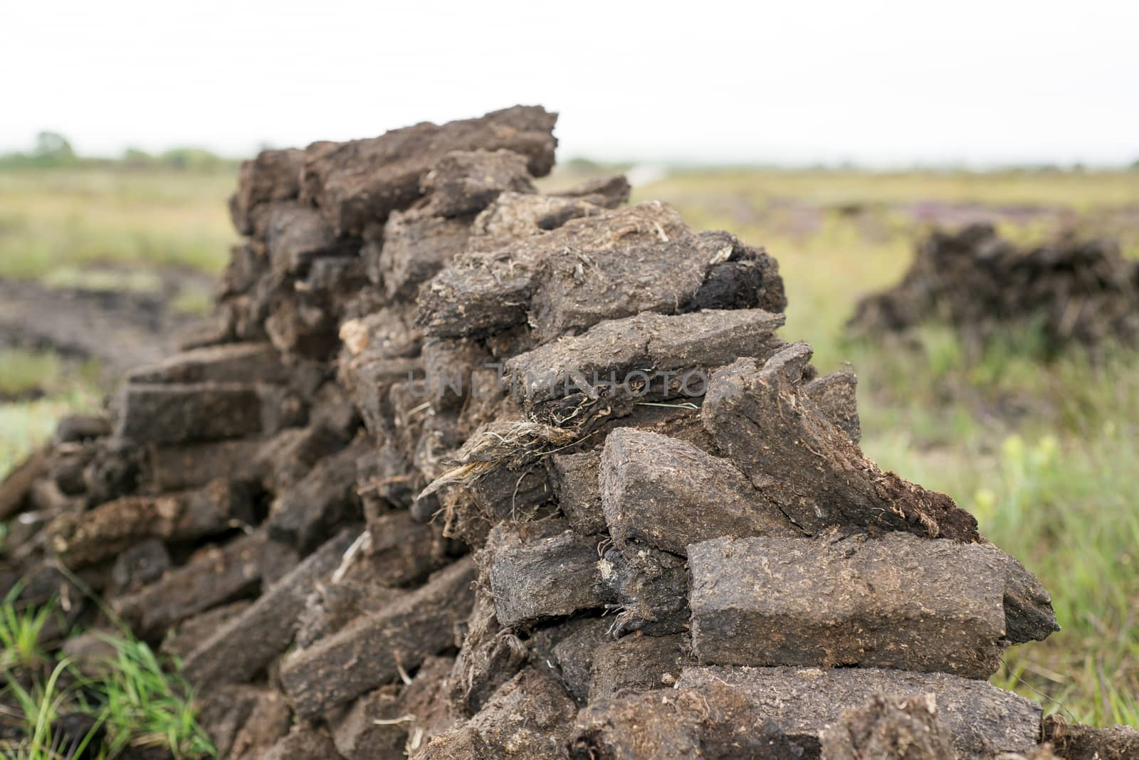 turf stacked up for the bog winds to dry in county kerry on the wild atlantic way of ireland