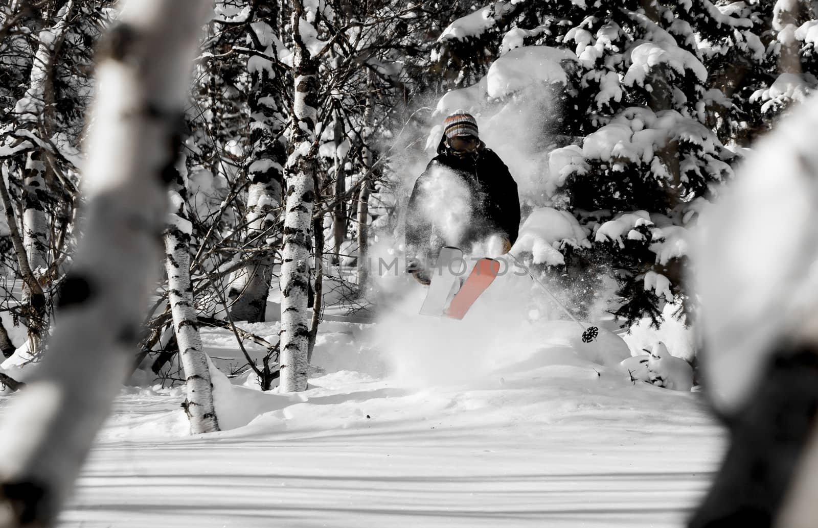 Freeride in Siberia by Chudakov