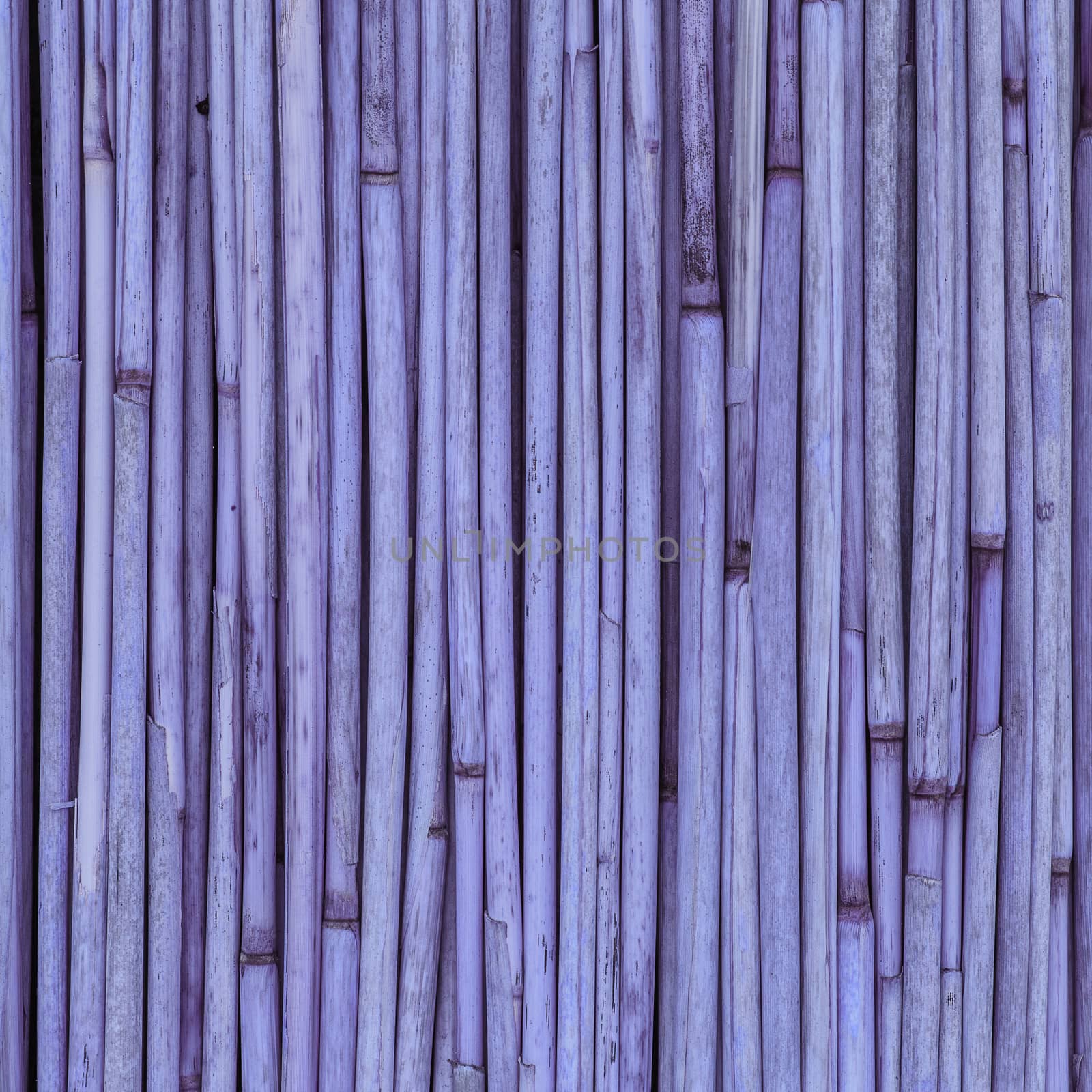 Texture of reeds or bamboo for background by natazhekova