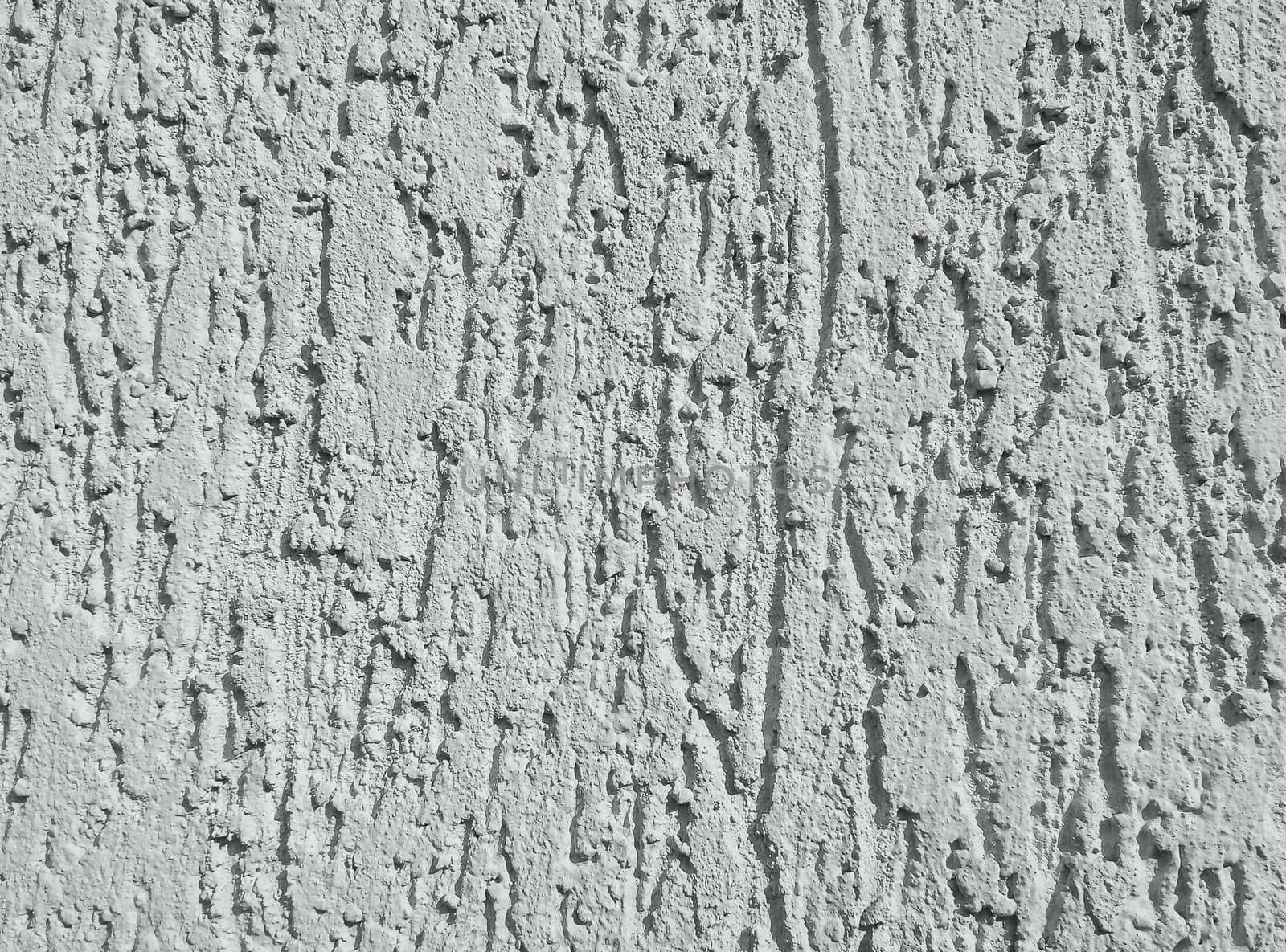 Grey Wall for bark beetle texture background
