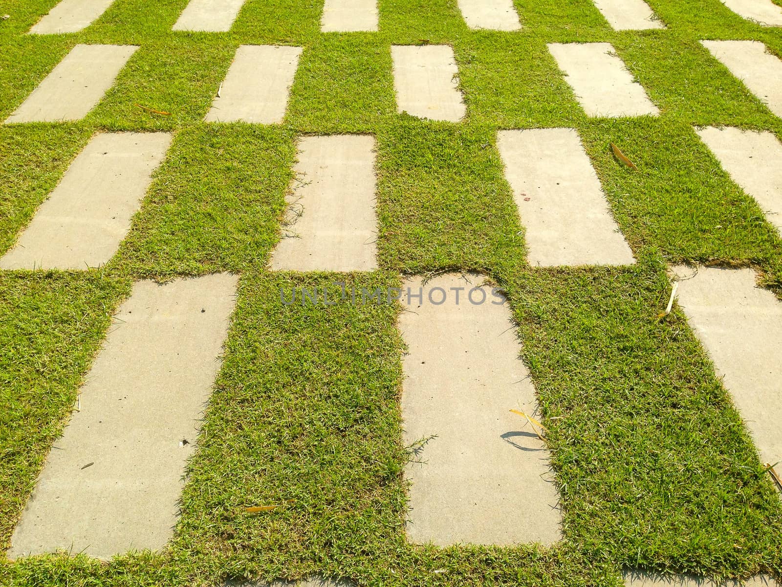 A cement walkway that is rectangular and surrounded by green grass.