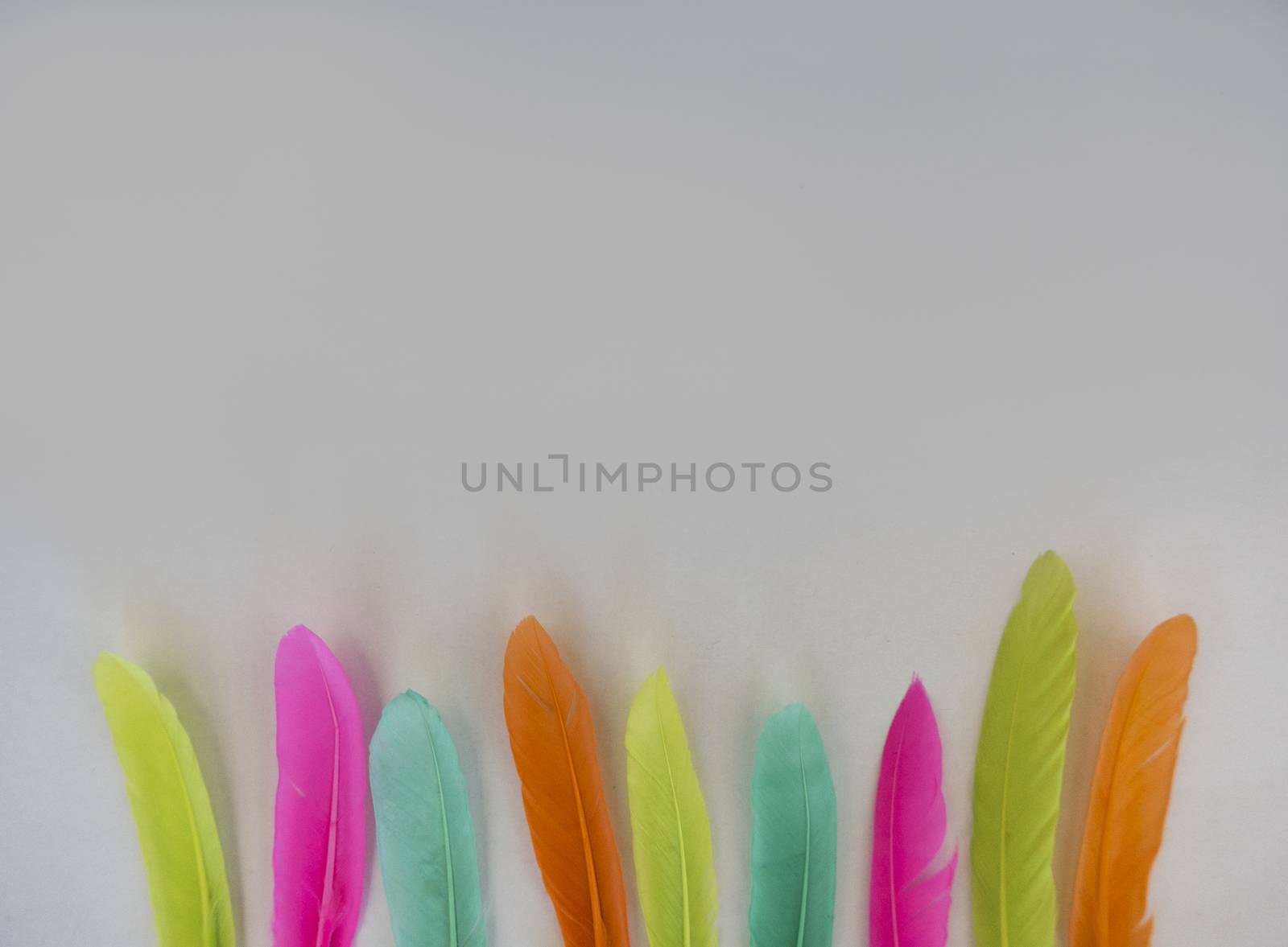 colorful feathers on a white background