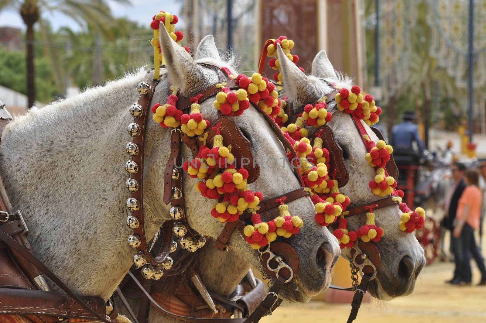 Horses festooned in fair, horse decked, Jerez de la Frontera