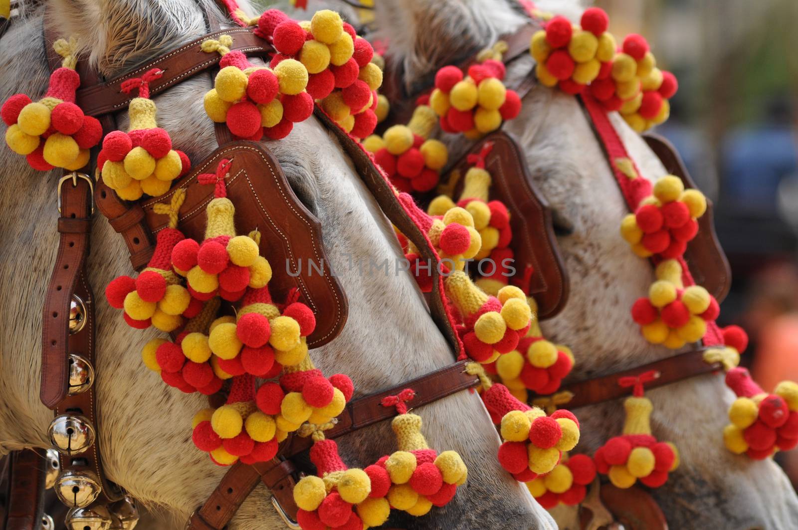 Horses festooned in fair, horse decked, Jerez de la Frontera