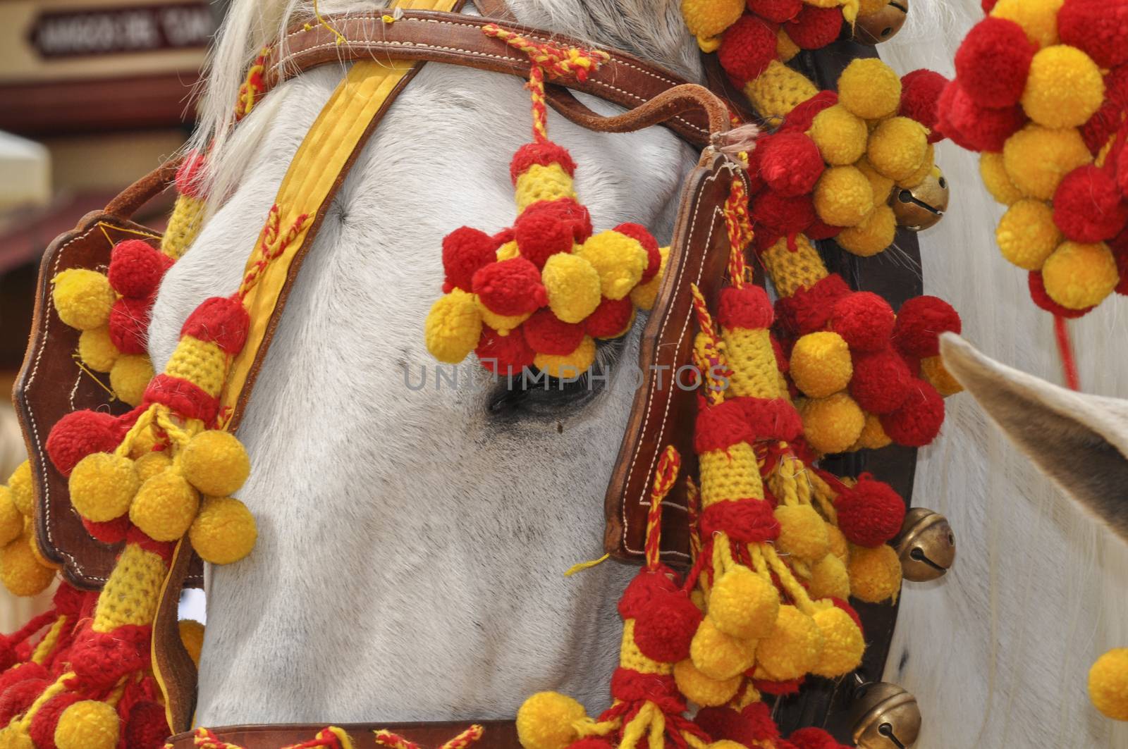 Horses festooned in fair, horse decked, Jerez de la Frontera