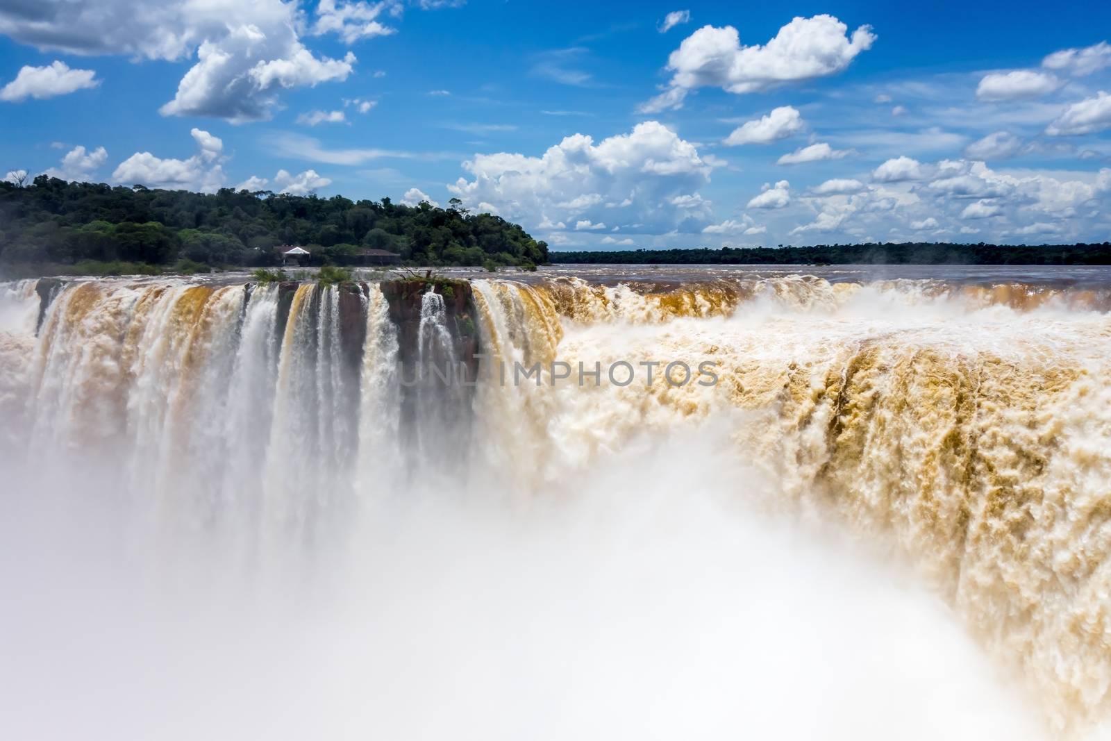 iguazu falls national park. tropical waterfalls and rainforest landscape