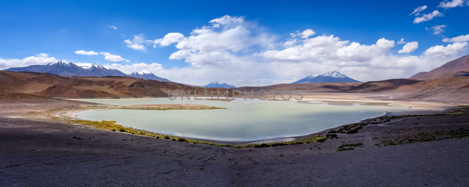 Laguna Honda in sud Lipez Altiplano reserva, Bolivia by daboost