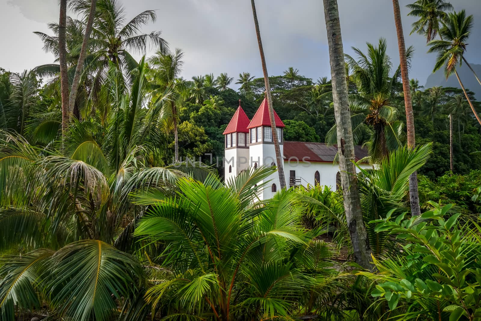 Haapiti church in Moorea island jungle, landscape by daboost