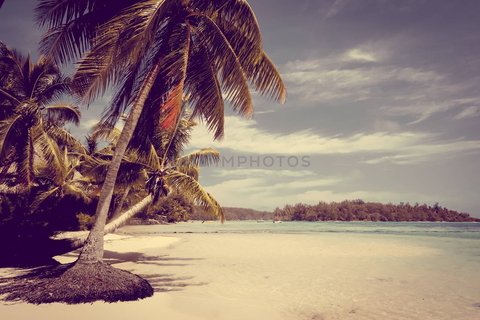 Paradise tropical beach and lagoon in Moorea Island by daboost