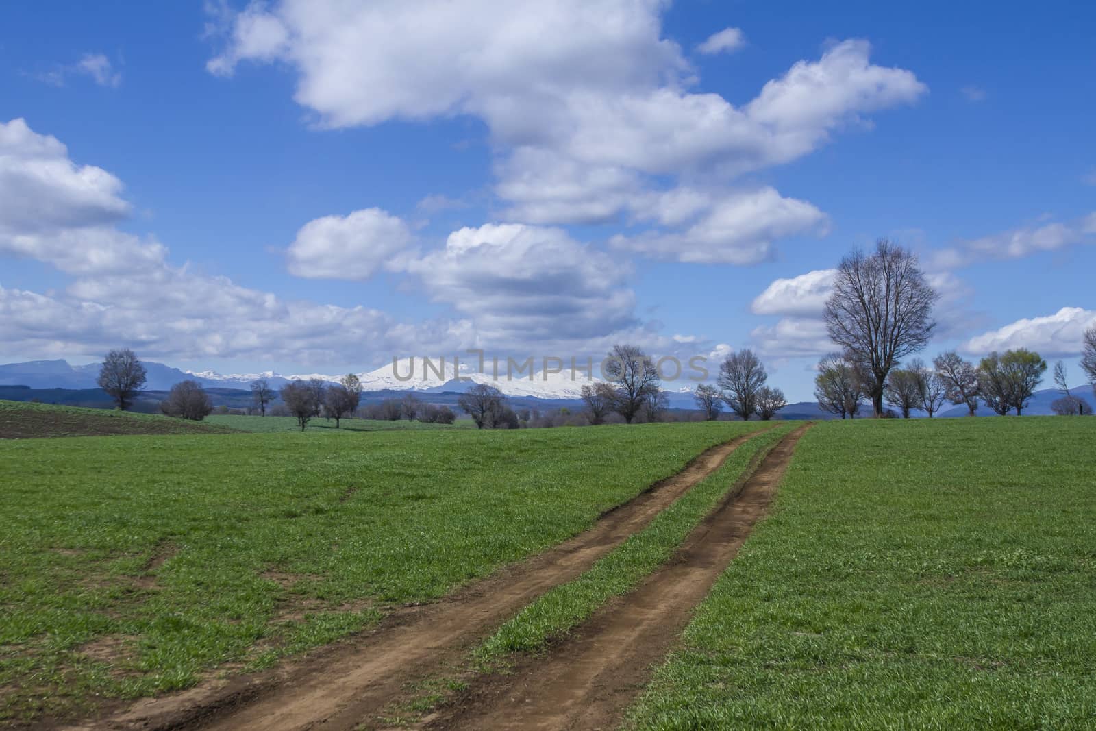 The dirt road by Chudakov