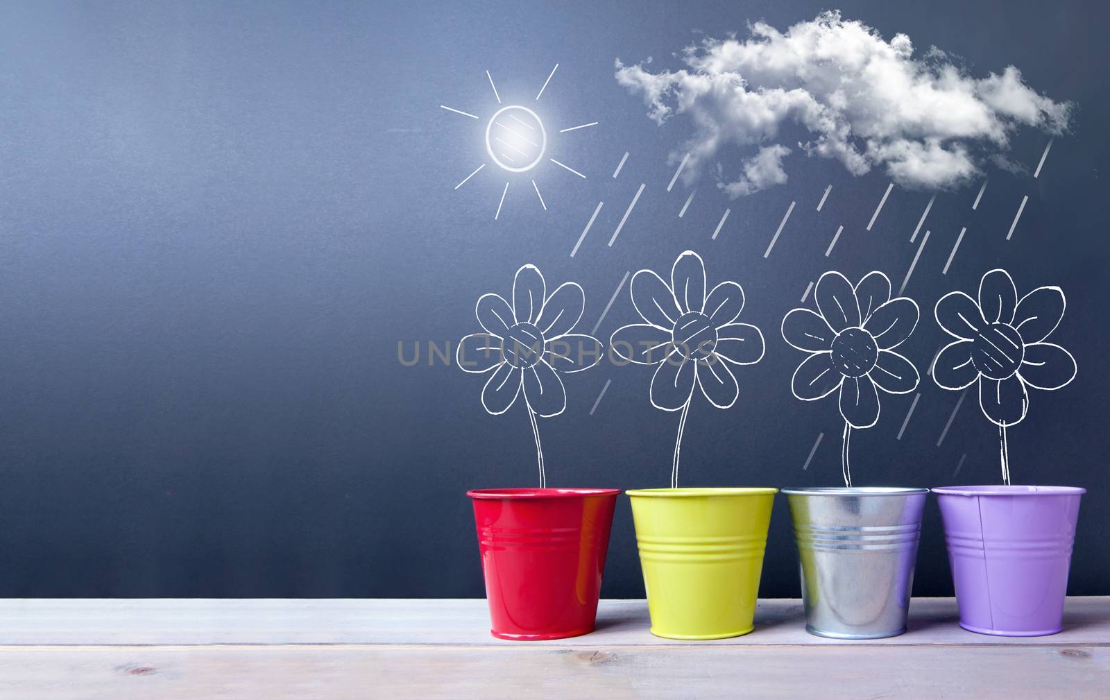 Drawing of spring daisies being on a chalkboard with space 