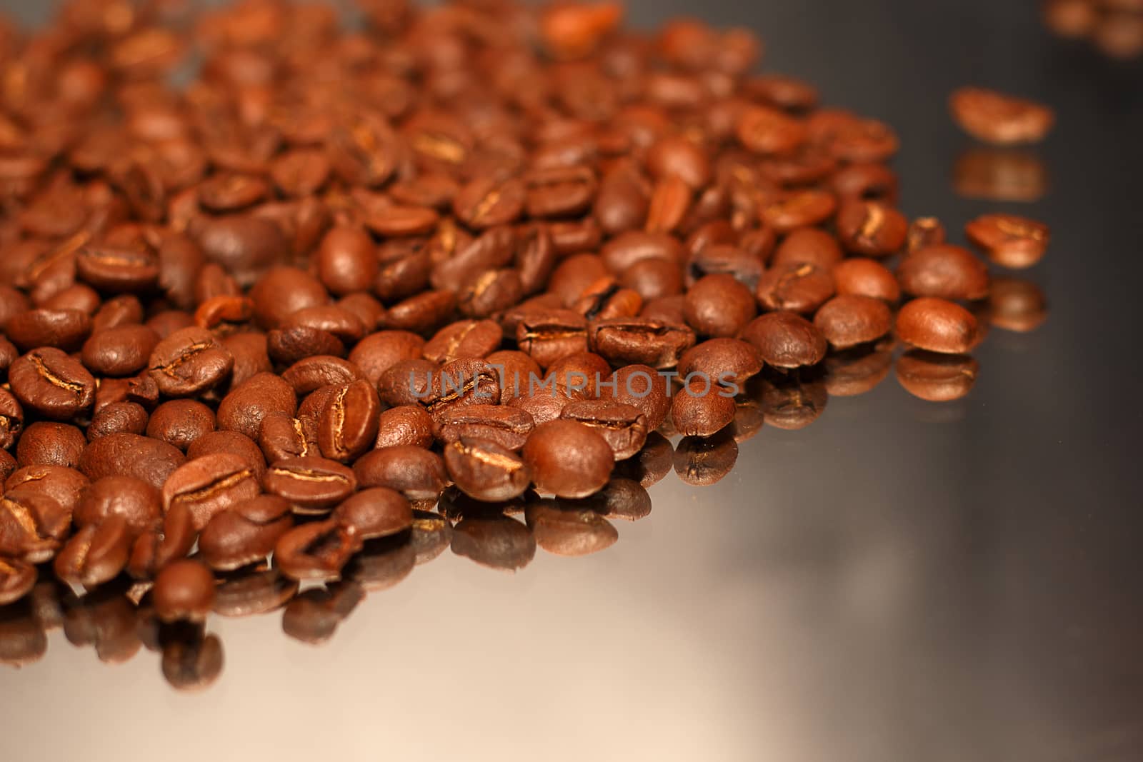 Selections of coffee beans scatted across a mirror