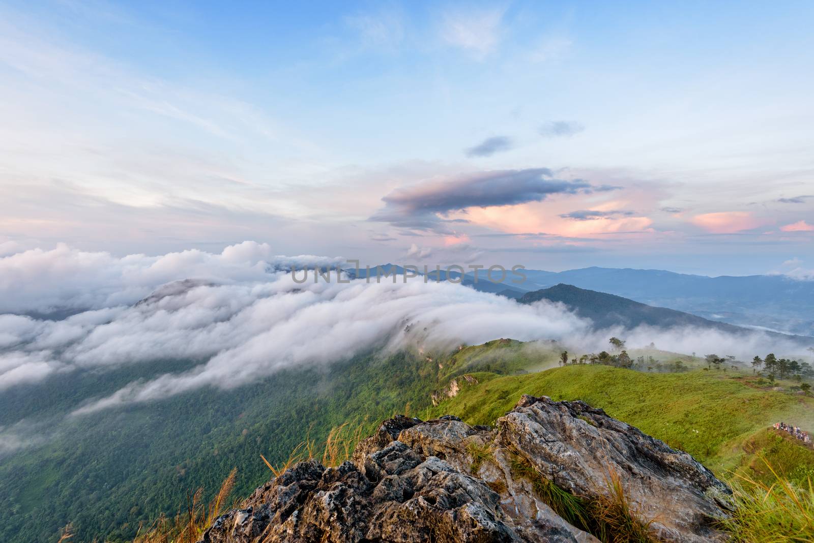 Beautiful landscape nature during sunrise on peak mountain with cloud fog and bright colors of sky in winter at Phu Chi Fa Forest Park is a famous tourist attraction of Chiang Rai Province, Thailand