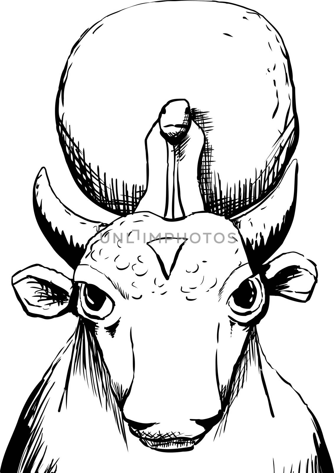 Outlined Apis bull god with sun disk by TheBlackRhino