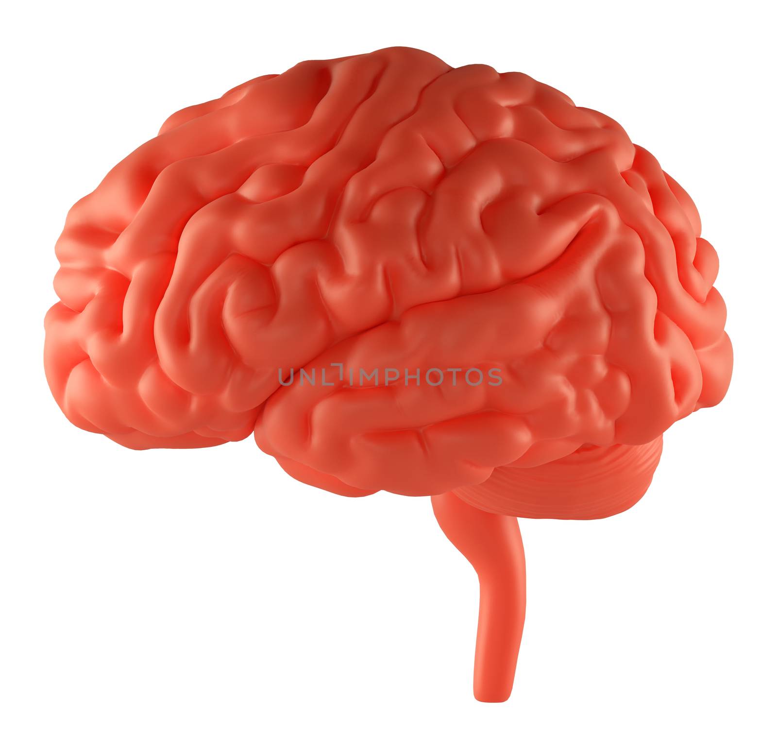 Anger Red Brain. Isolated on white. 3D Illustration