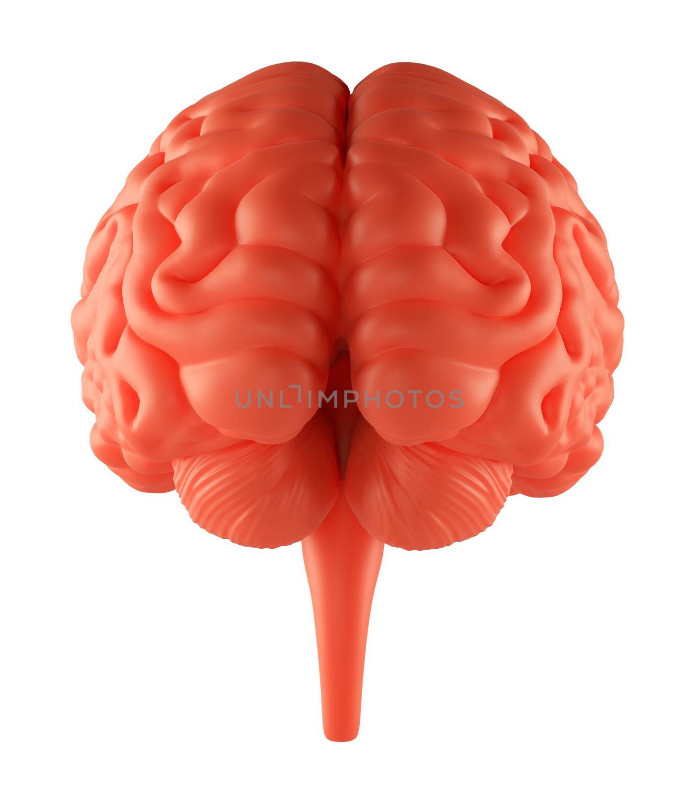 Anger Red Brain. Isolated on white. 3D Illustration