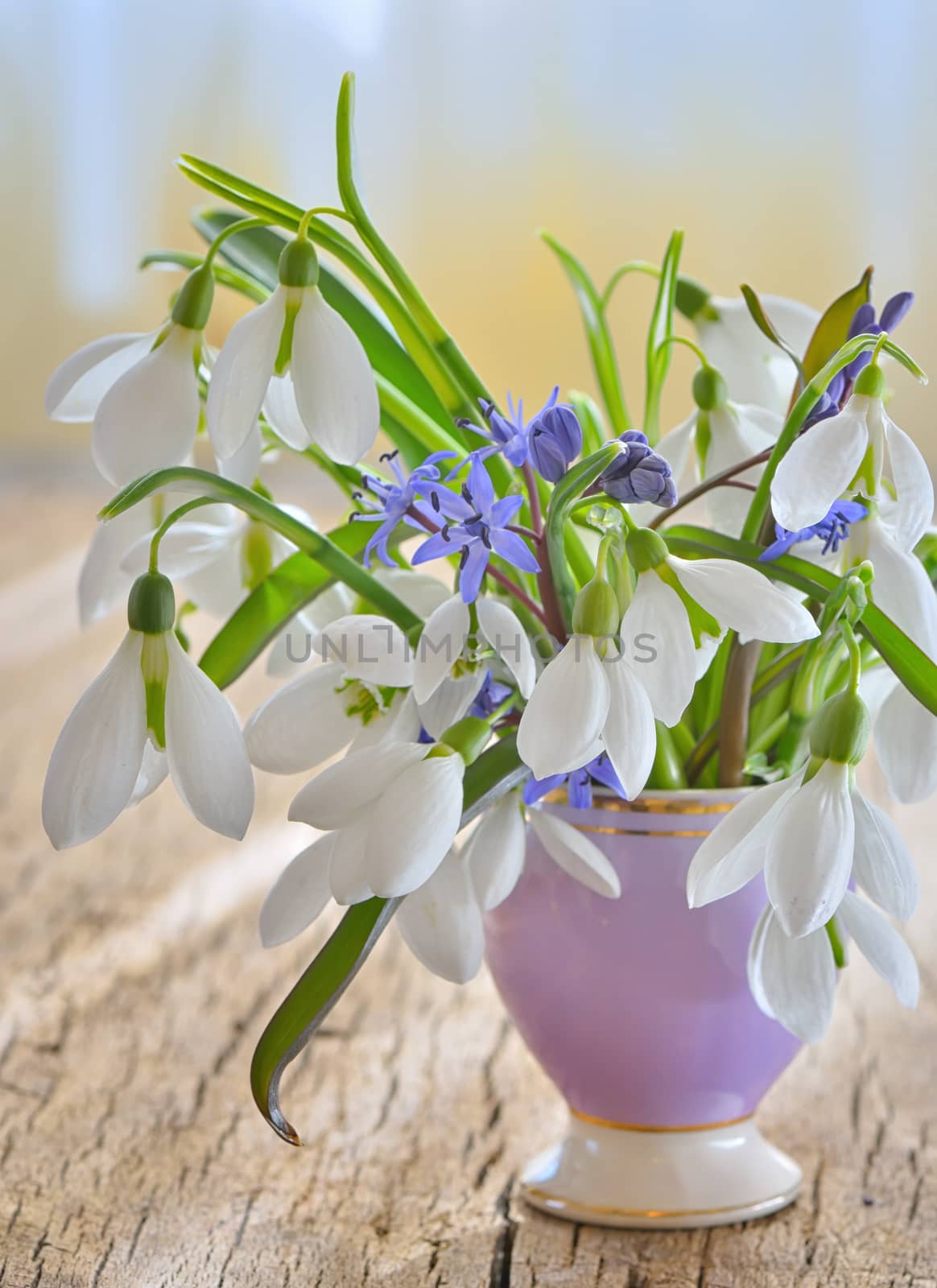 Beautiful bouquet of snowdrops in vase on wooden table