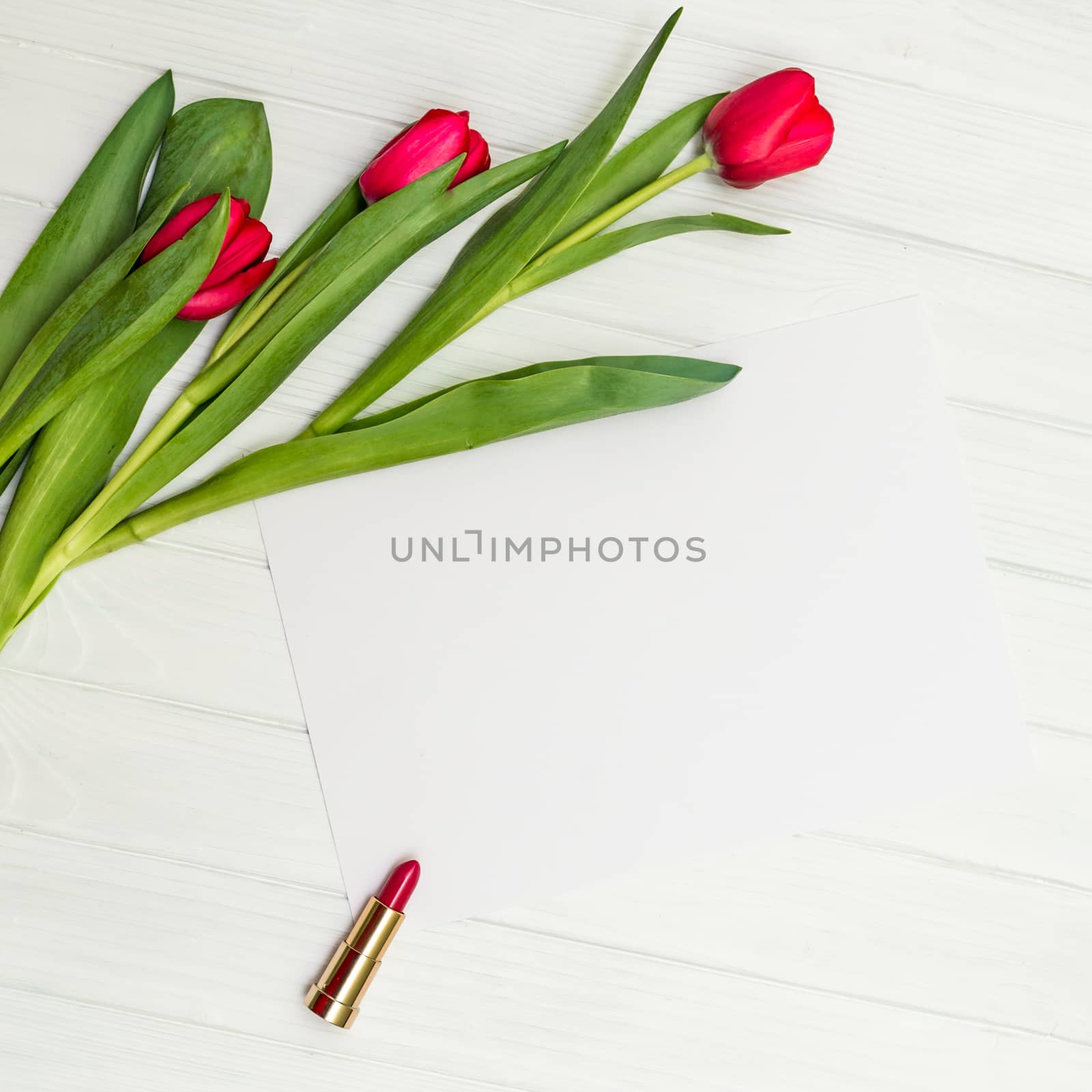 red tulips on a white wooden board by okskukuruza