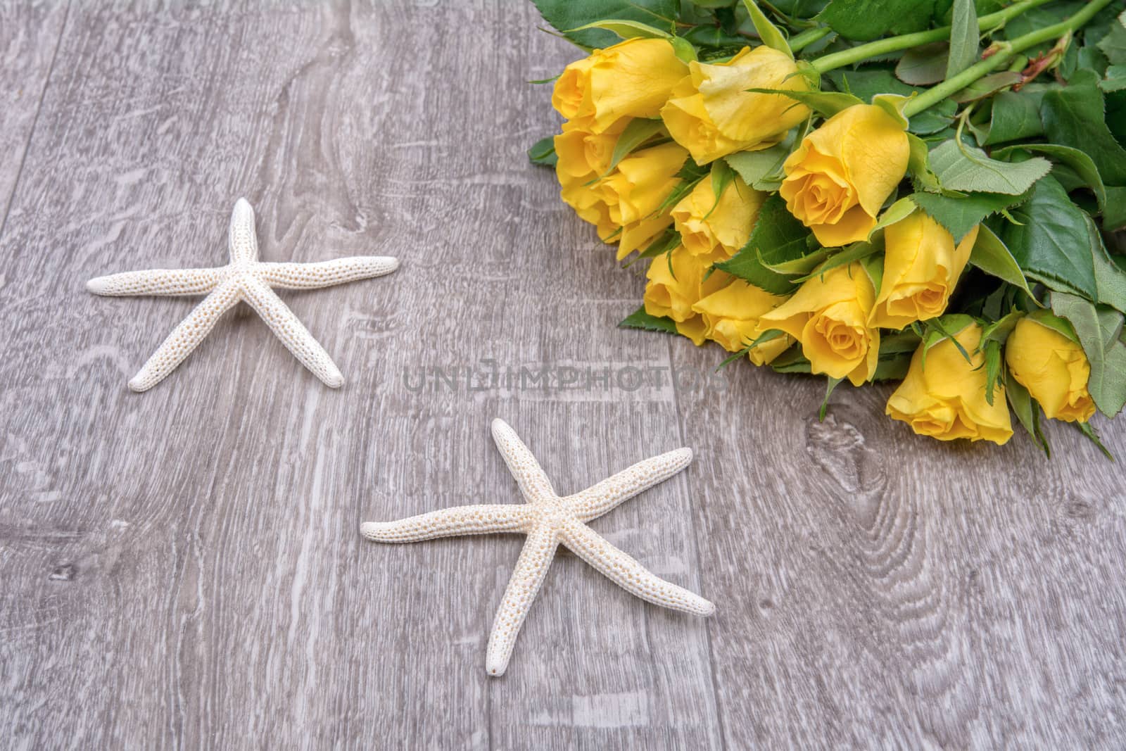 White starfish and yellow roses on a wooden background