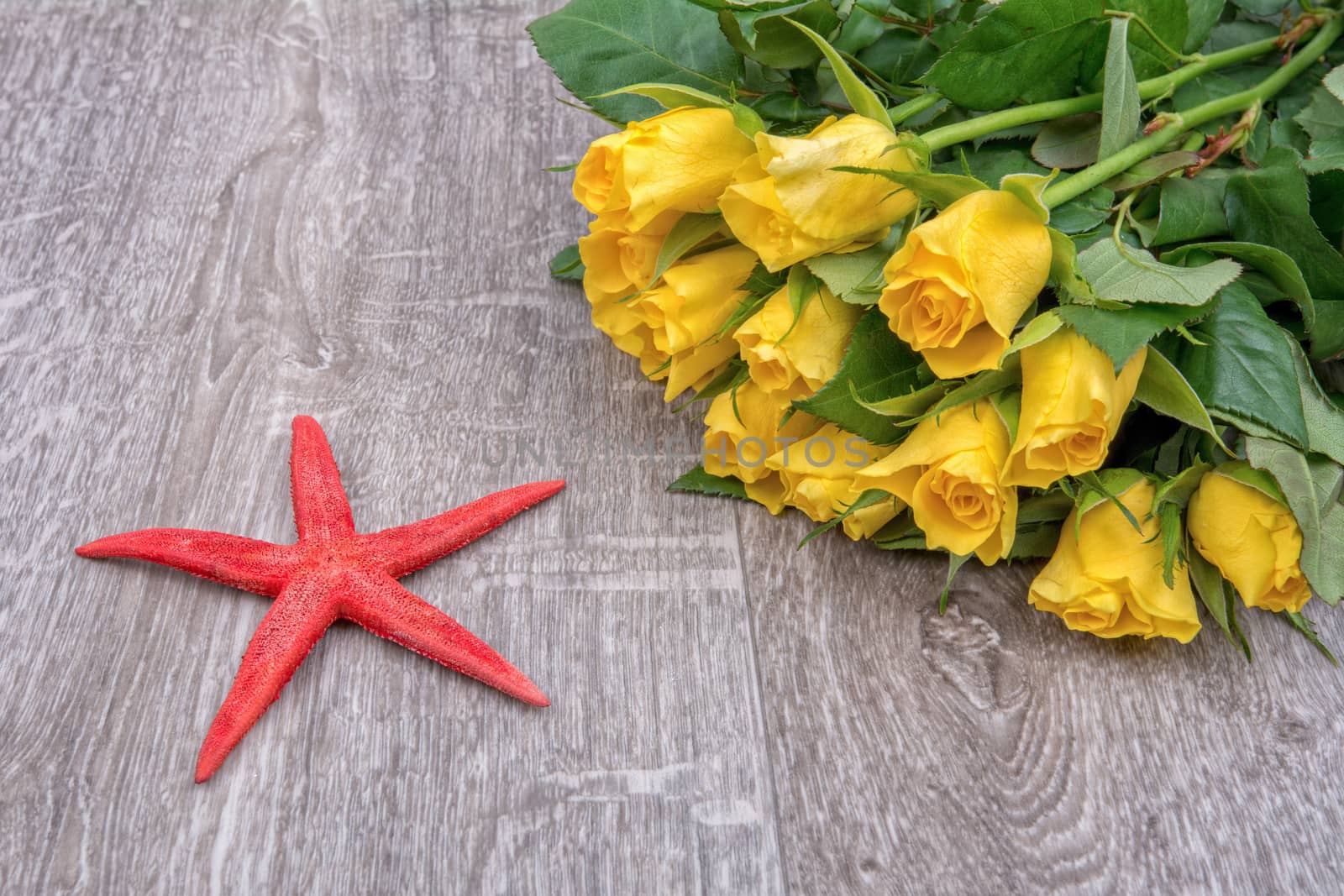 Red starfish and yellow yellow on a wooden background