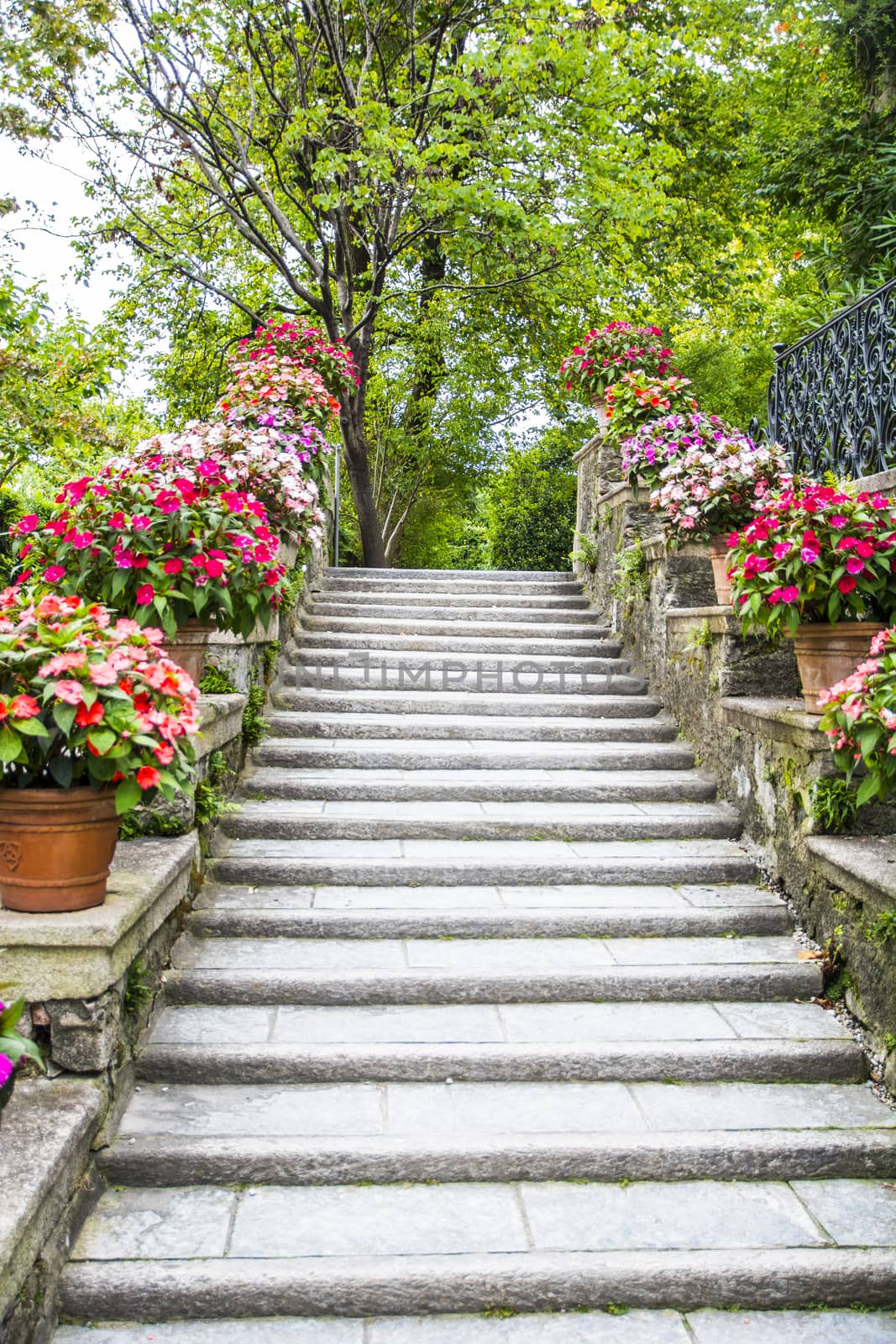 Beautiful stone stairs with flowers in pots and green trees around.