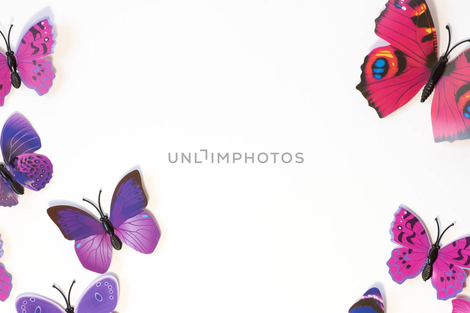 Pink and violet butterfly isolated on white background