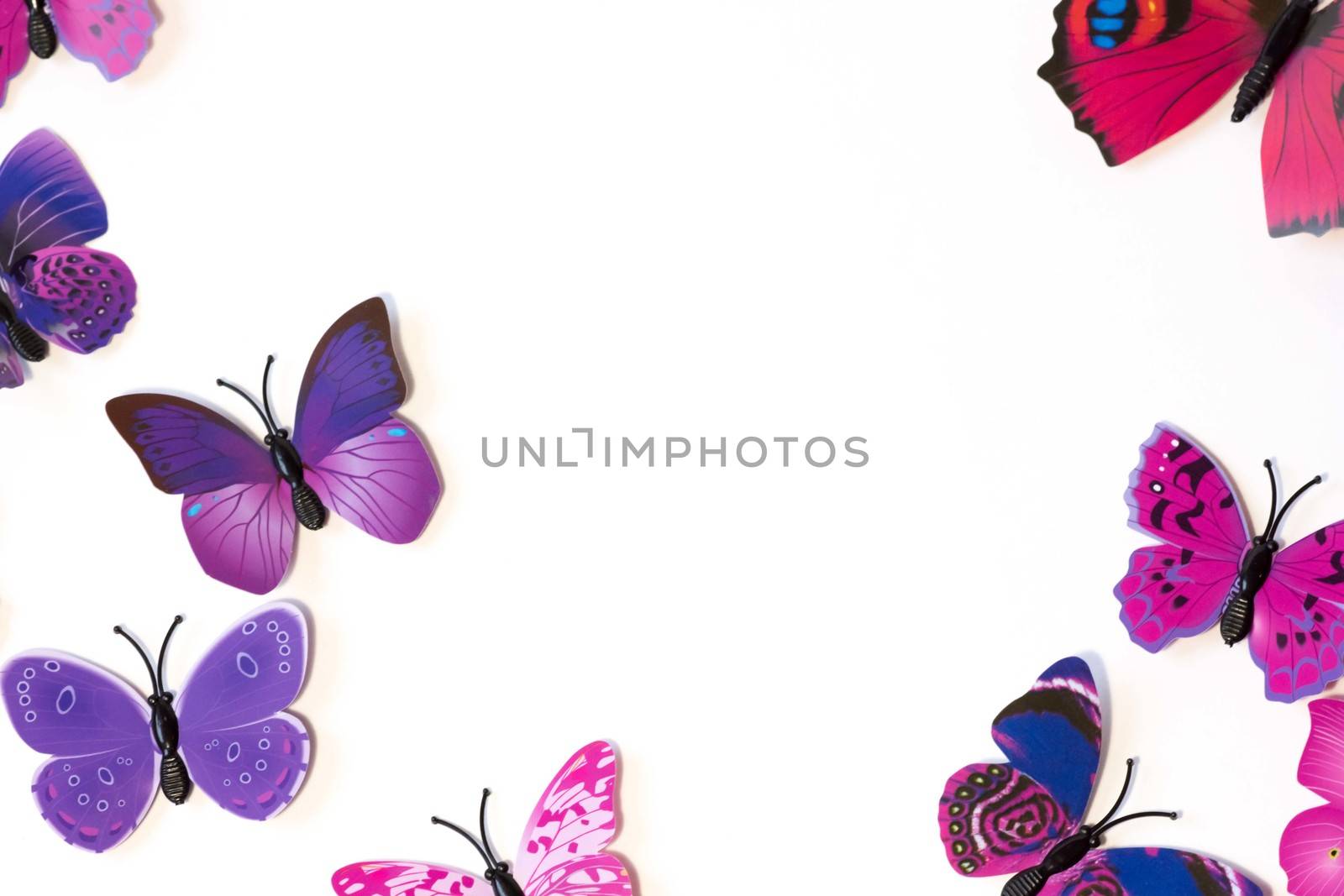 Pink and violet butterfly isolated on white background by elina_chernikova