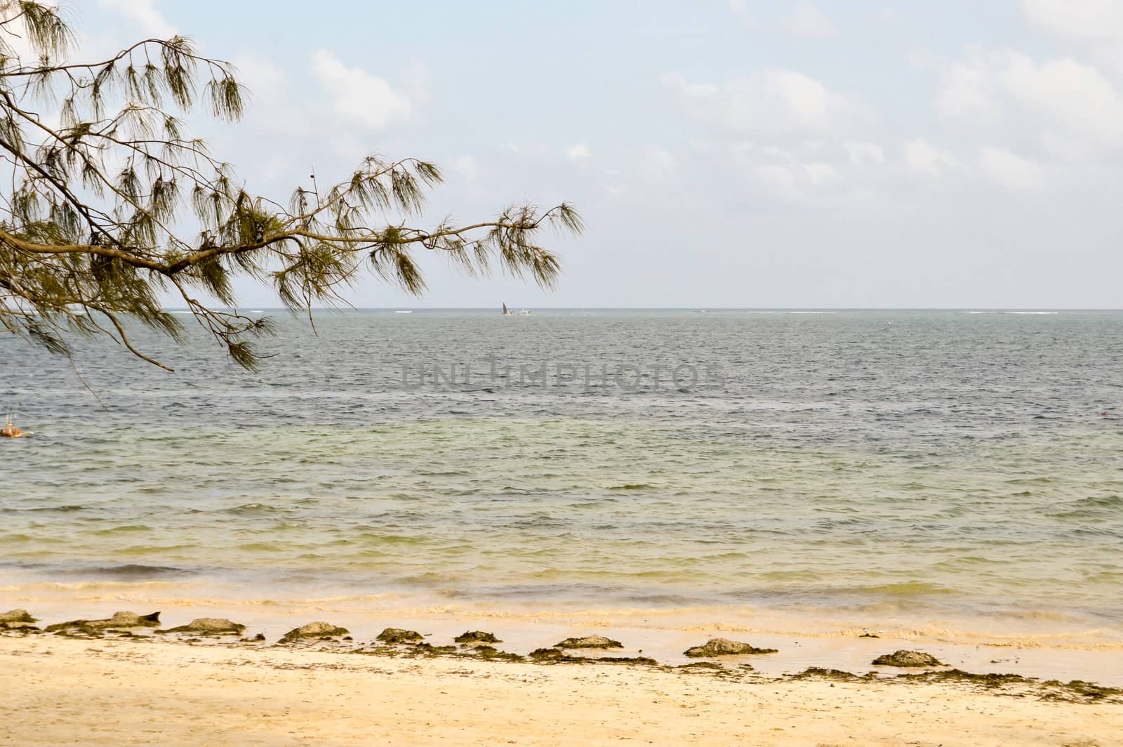 View of the beach and ocean at sunrise in Bamburi, Kenya