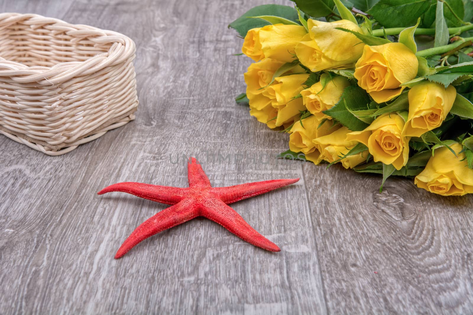Red starfish and yellow yellow on a wooden background
