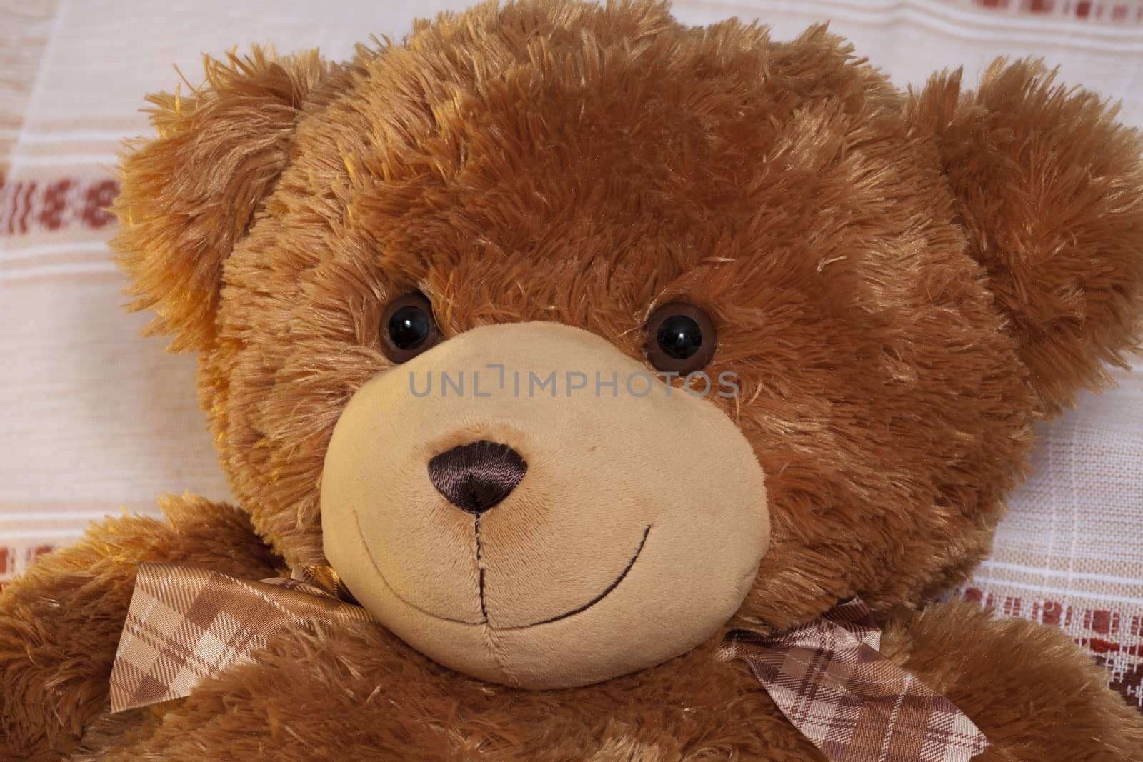 Portrait plush teddy bear  by mrivserg