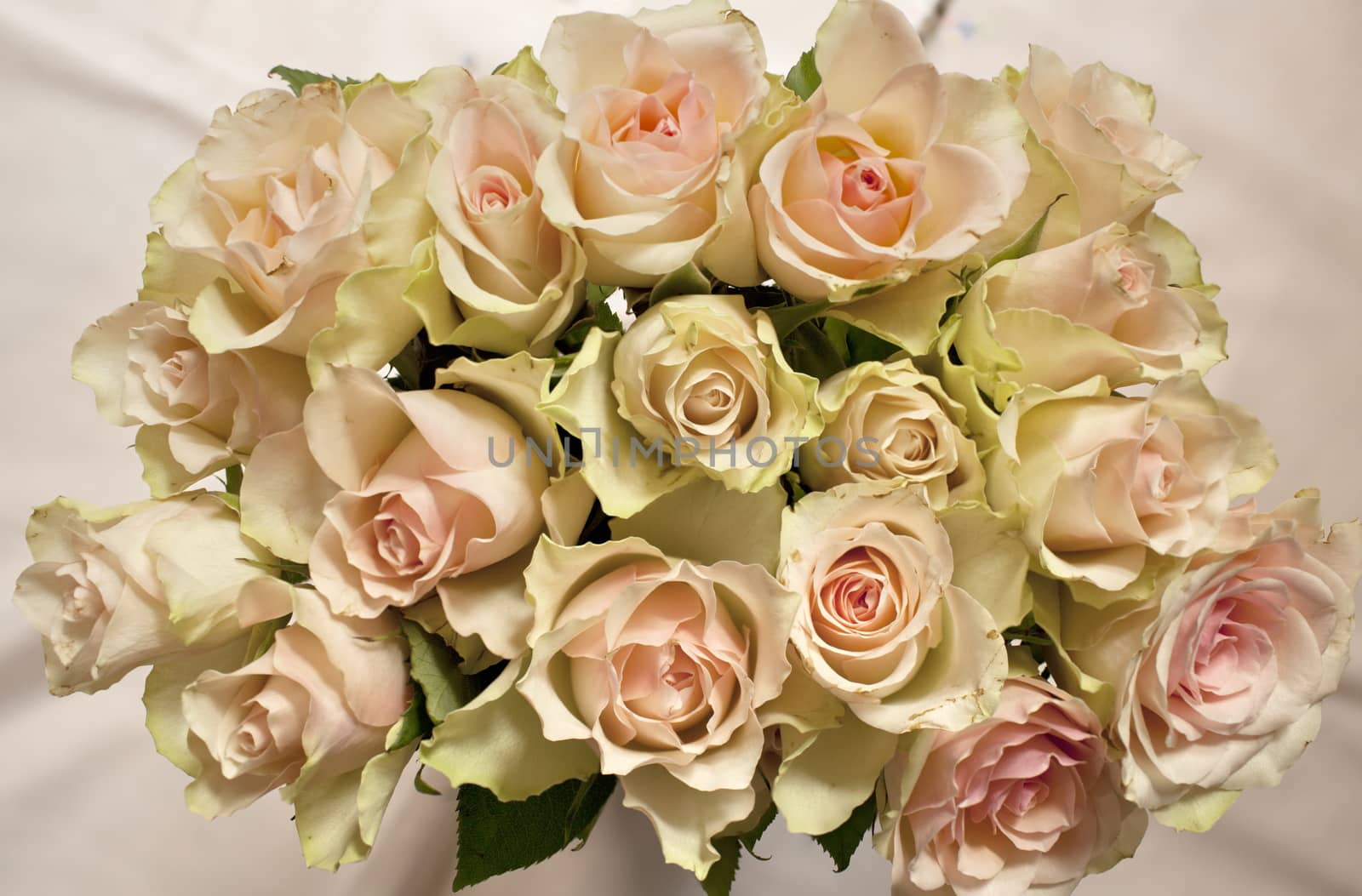 roses beautiful bouquet by mrivserg