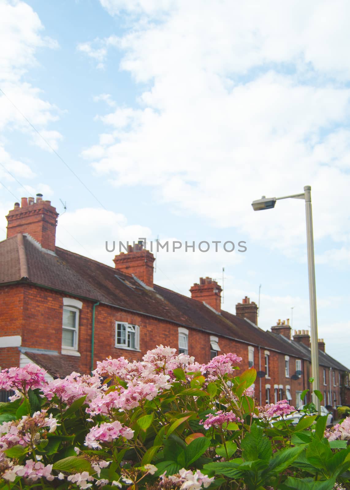 Retro Style Image Of Average British Terraced Street With Flowers In The Foreground And Copy Space