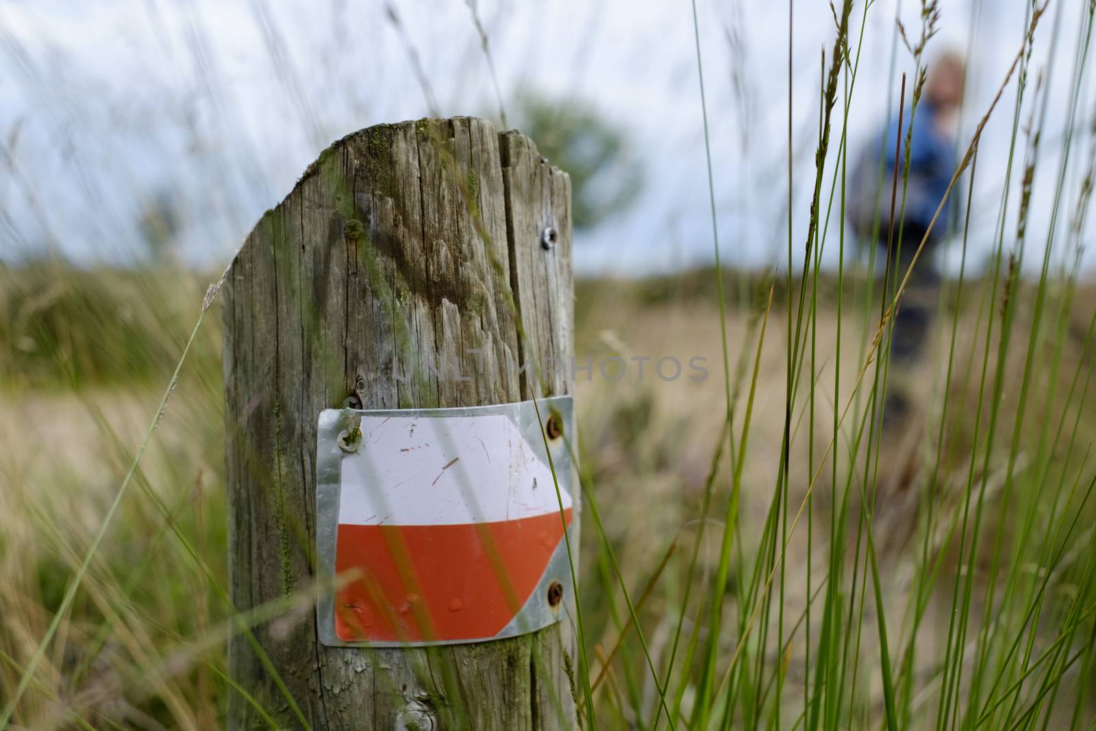 red white trail hiking pointer on a wooden pole in the grass
