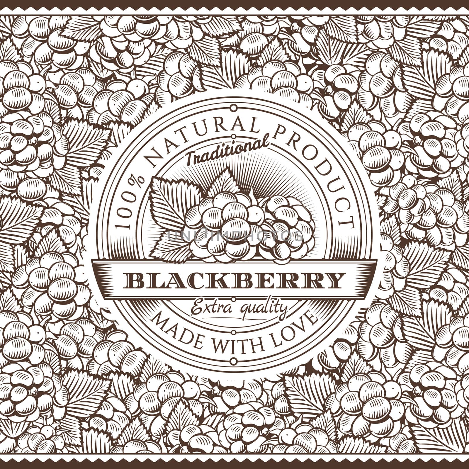 Vintage Blackberry Label On Seamless Pattern by ConceptCafe