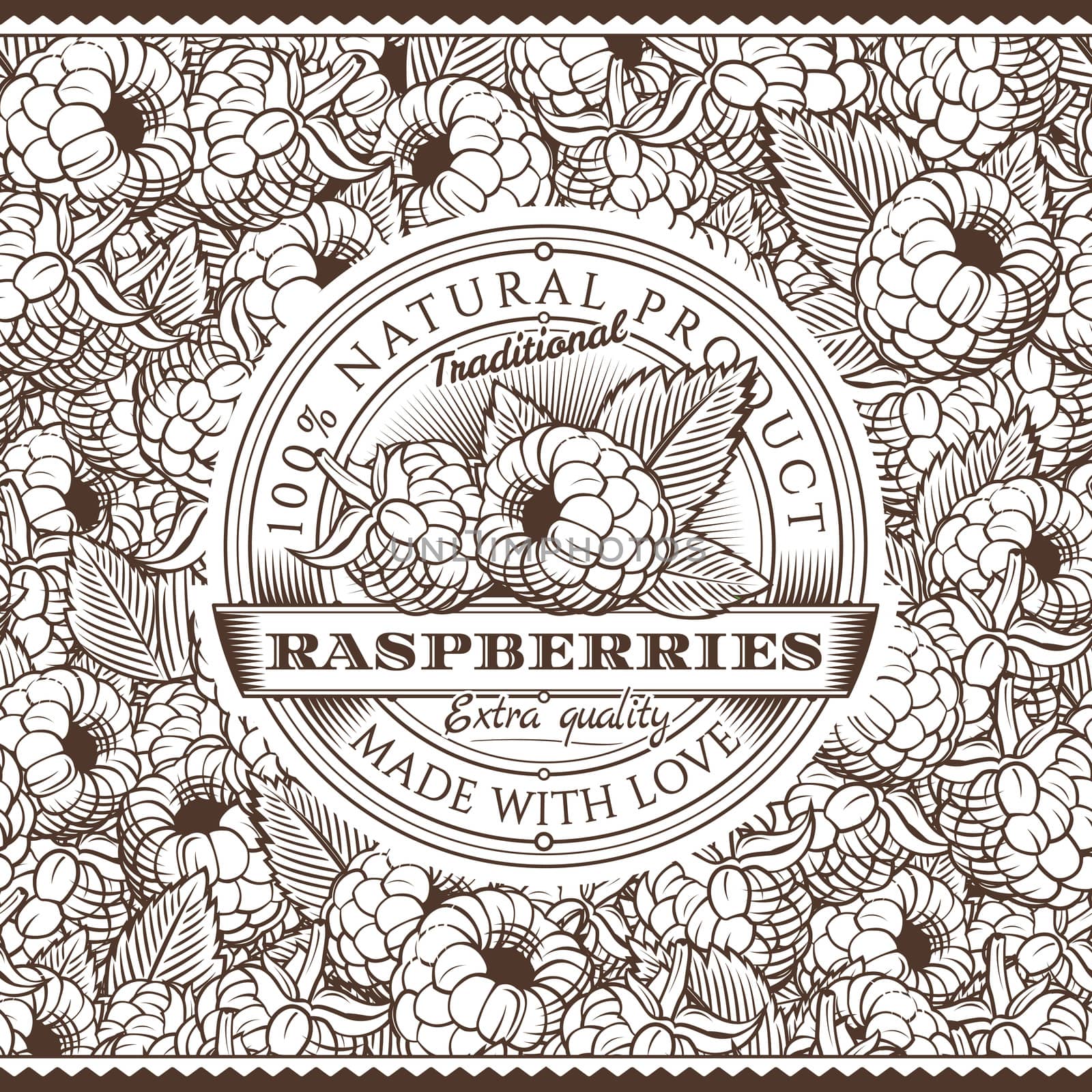 Vintage Raspberries Label On Seamless Pattern by ConceptCafe