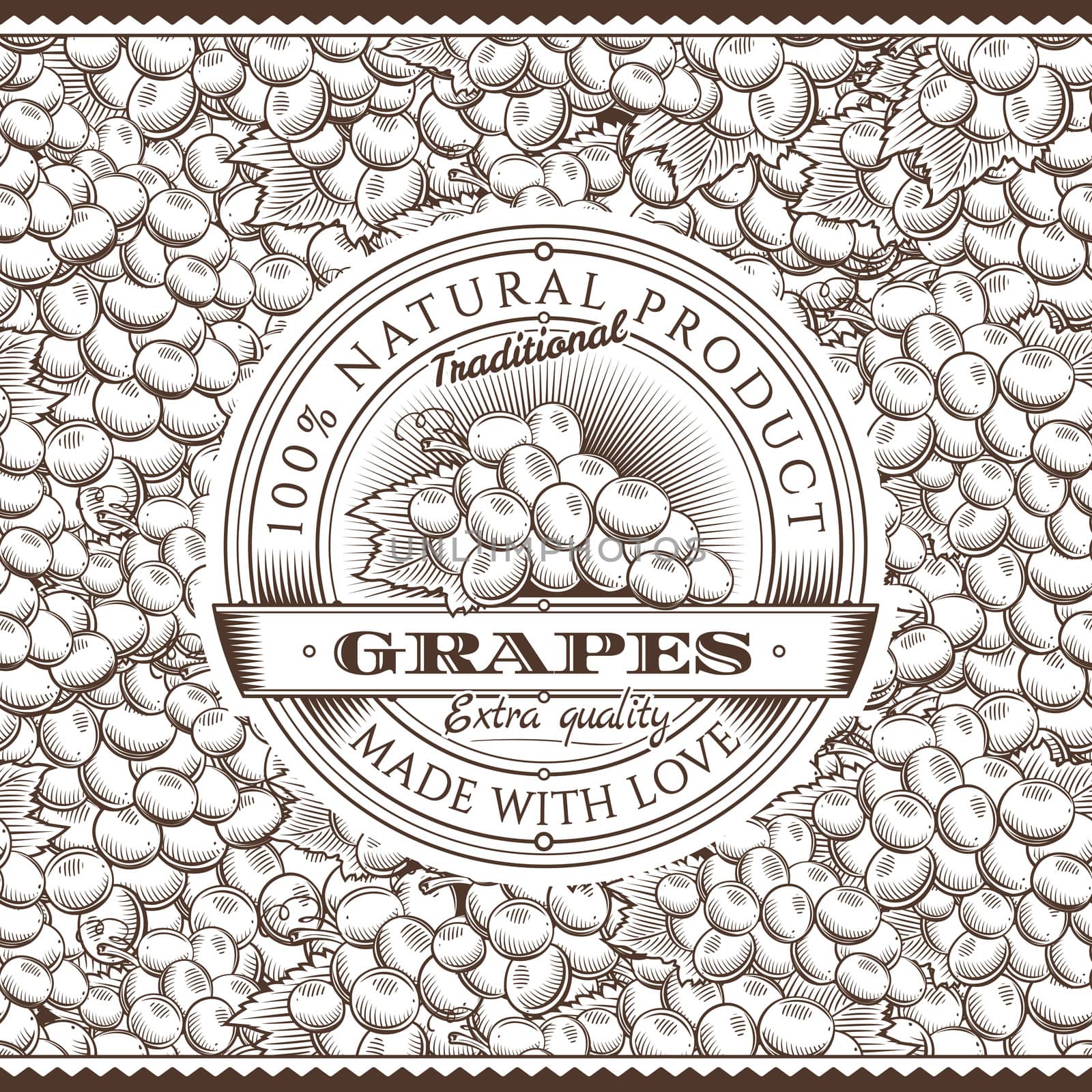 Vintage Grapes Label On Seamless Pattern by ConceptCafe