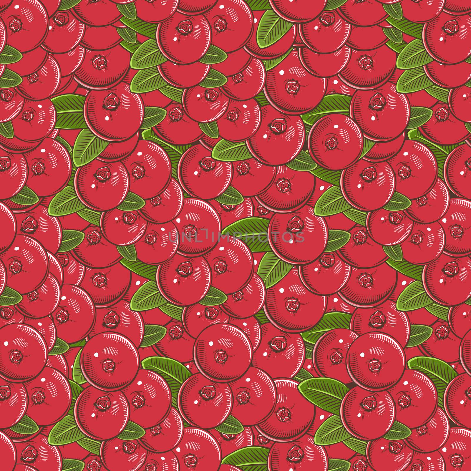 Vintage Cranberry Seamless Pattern by ConceptCafe