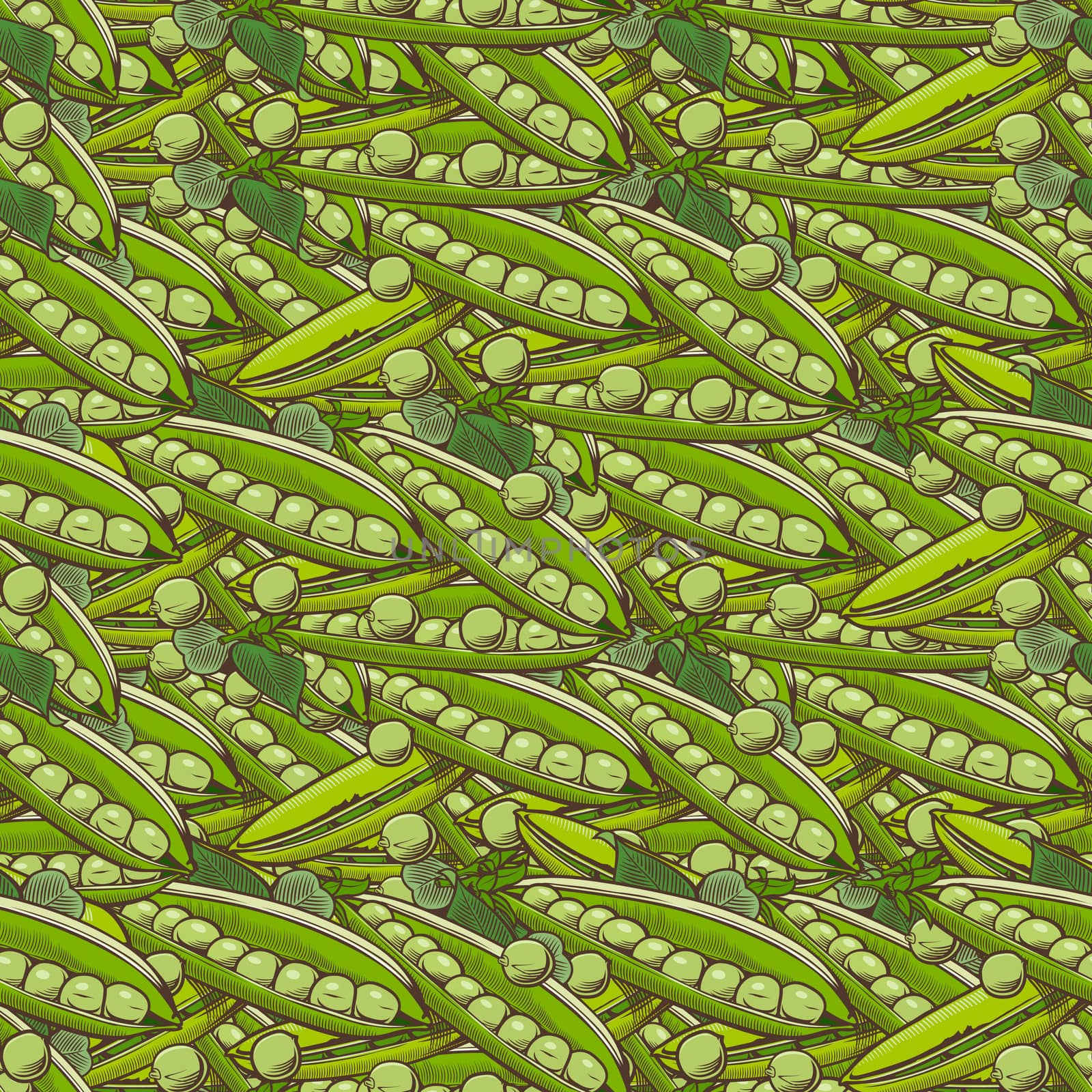 Vintage Green Pea Seamless Pattern by ConceptCafe