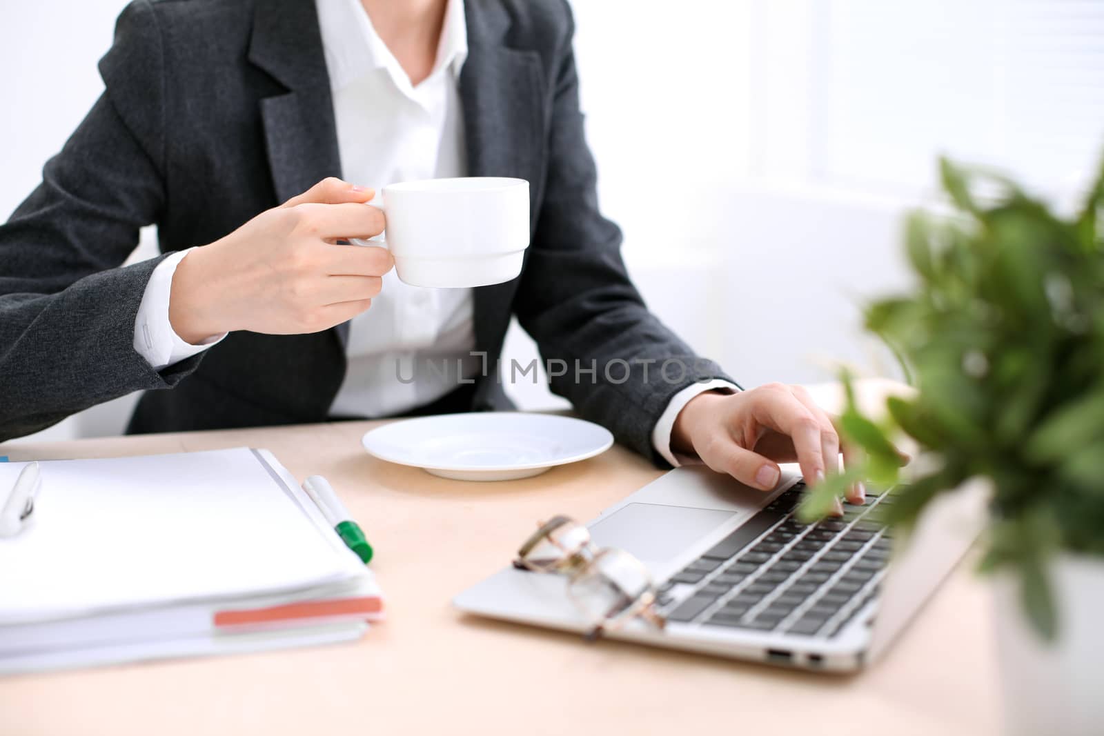 Close up of business woman  hands  with a cup of coffee is sitting at the table and typing on a laptop computer in the white colored office . 