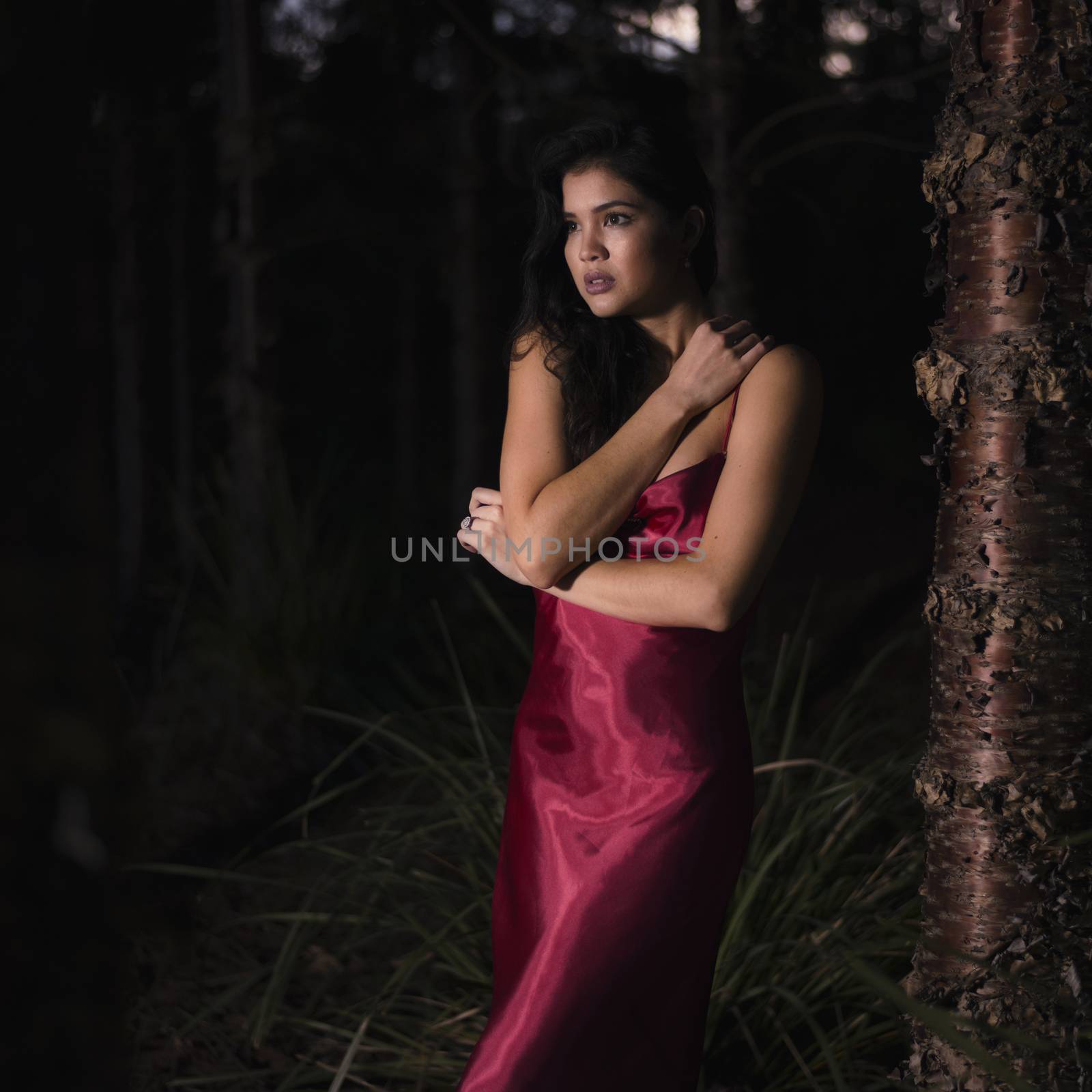 Beautiful young woman wearing a long red silk formal dress in the gardens in the early evening.