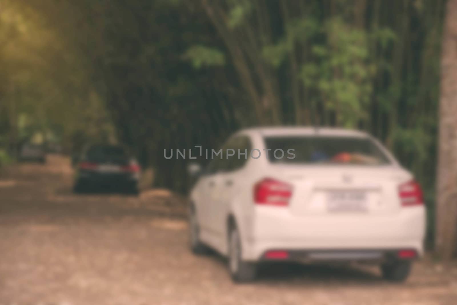 Cars traveling in the bamboo garden with a blurred image.