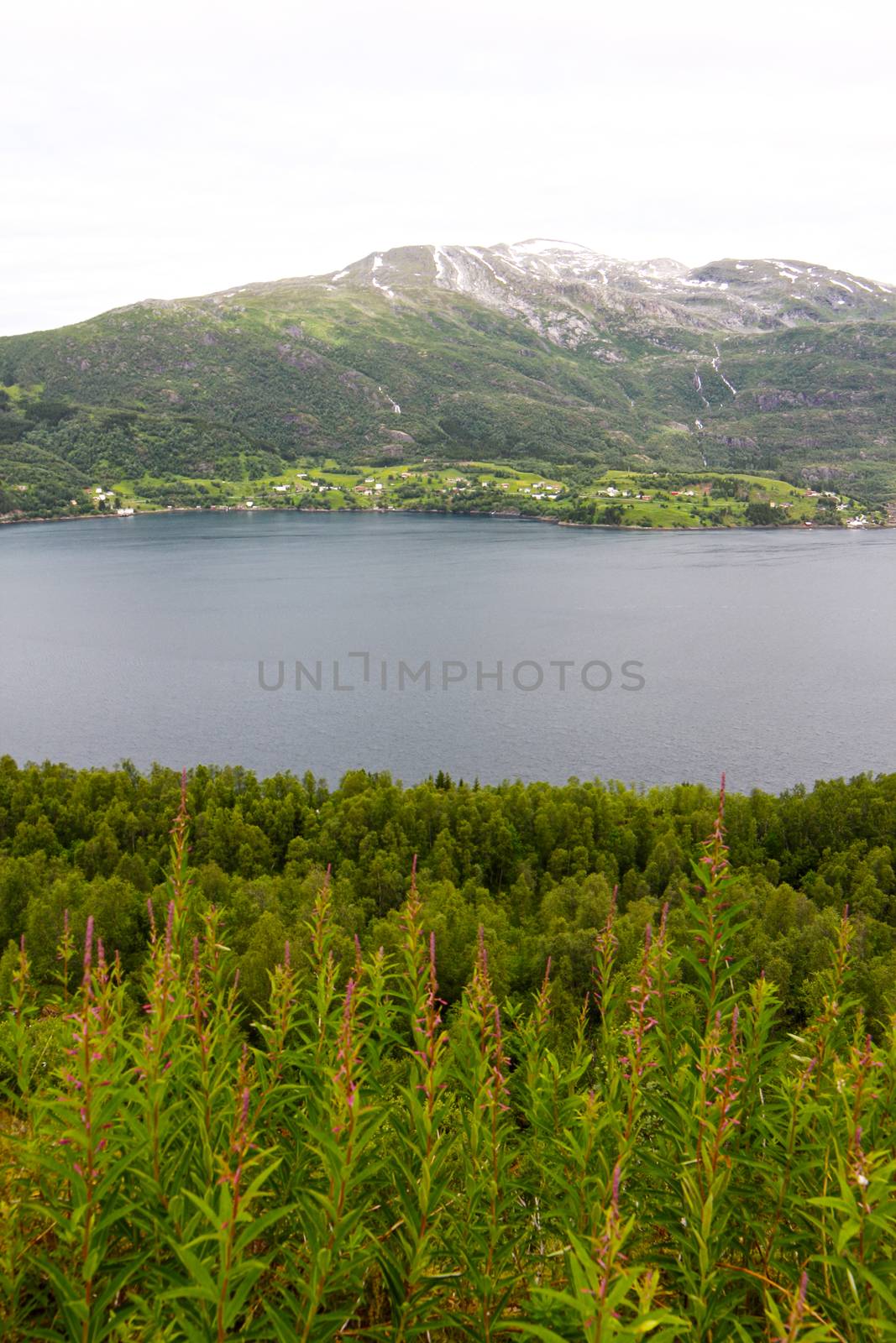 Northern Norway landscape by destillat