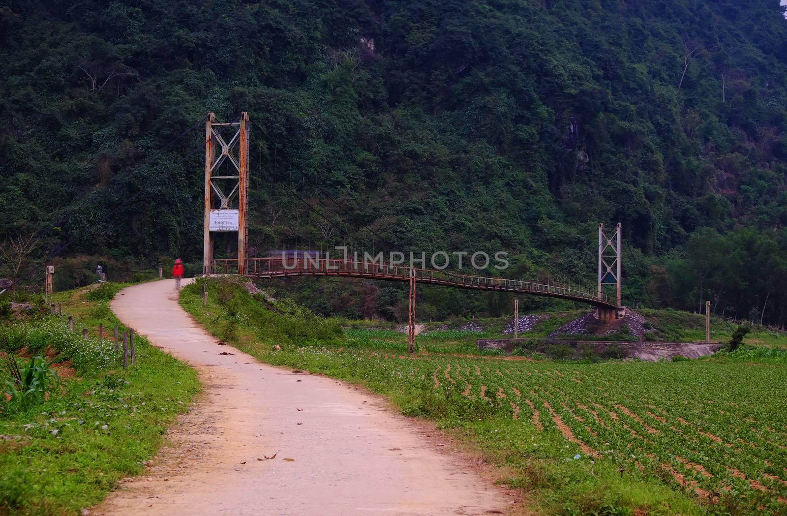 Beautiful of Quang Binh countryside landscape at evening, amazing mountain, bridge to path among green field, calm village at QuangBinh, Vietnam, a nice view for travel